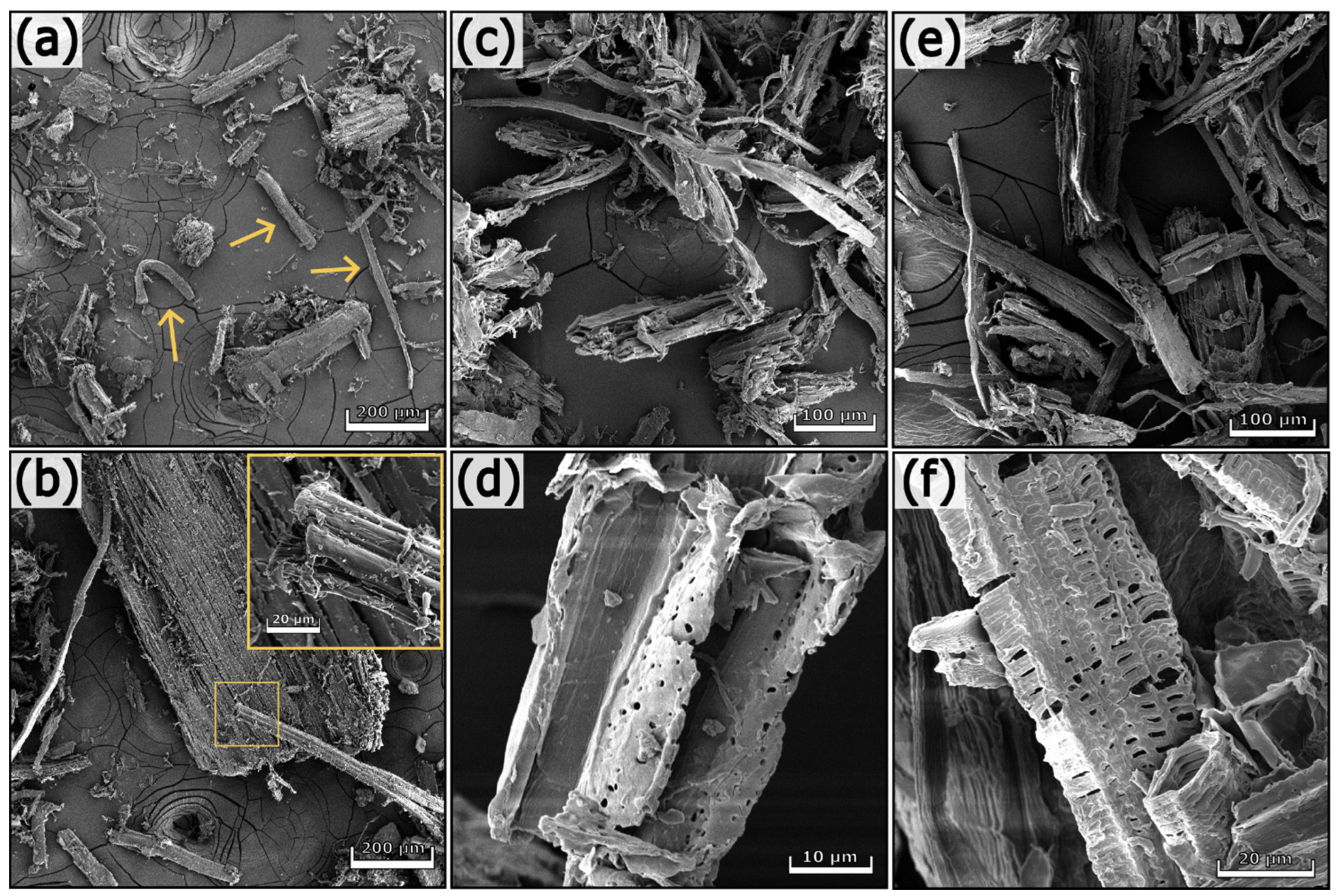 Polymers 17 01220 g006