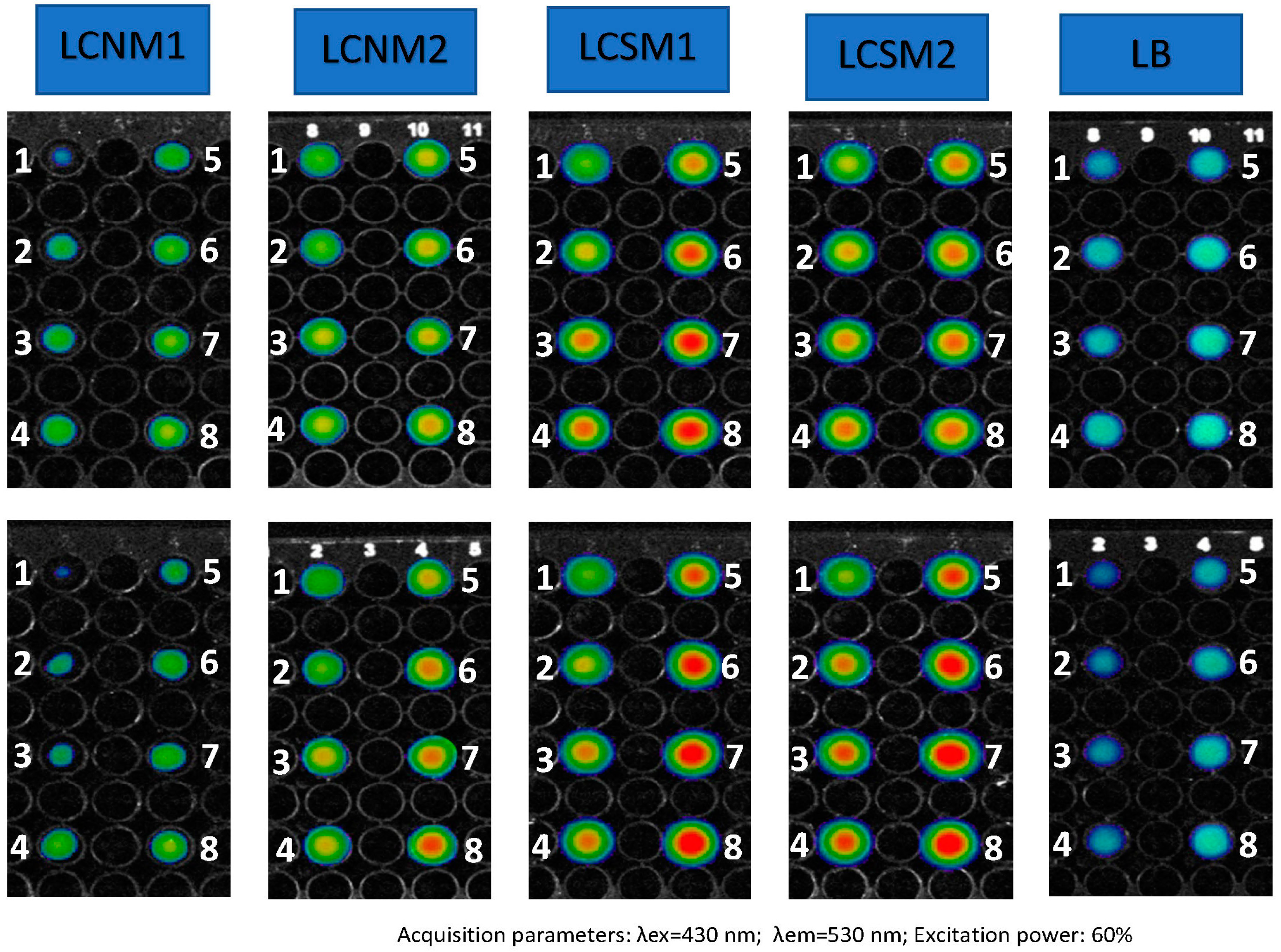 Polymers 17 01221 g012