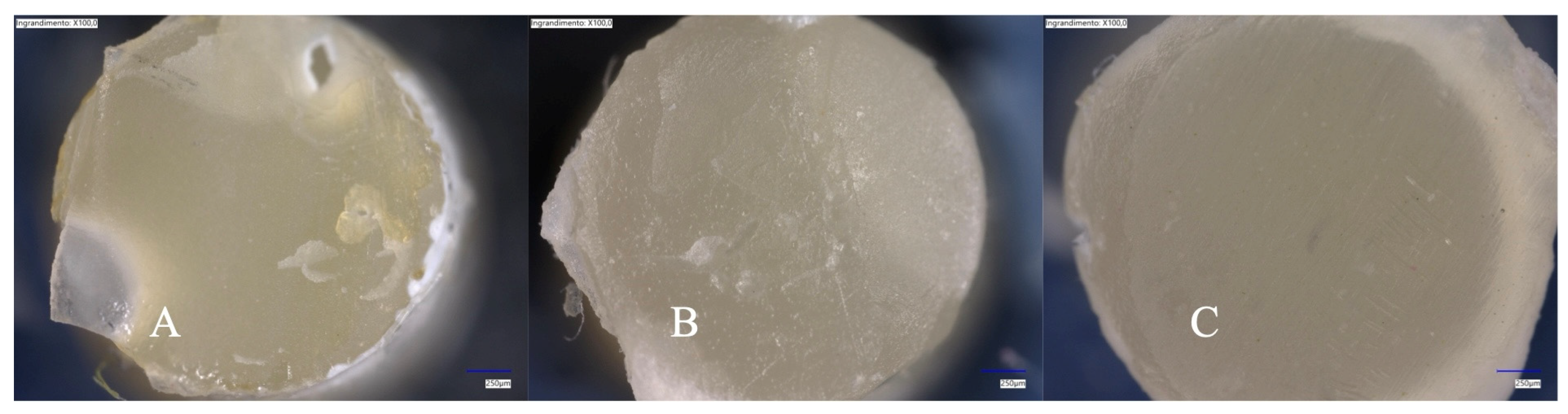 Polymers 17 01224 g002
