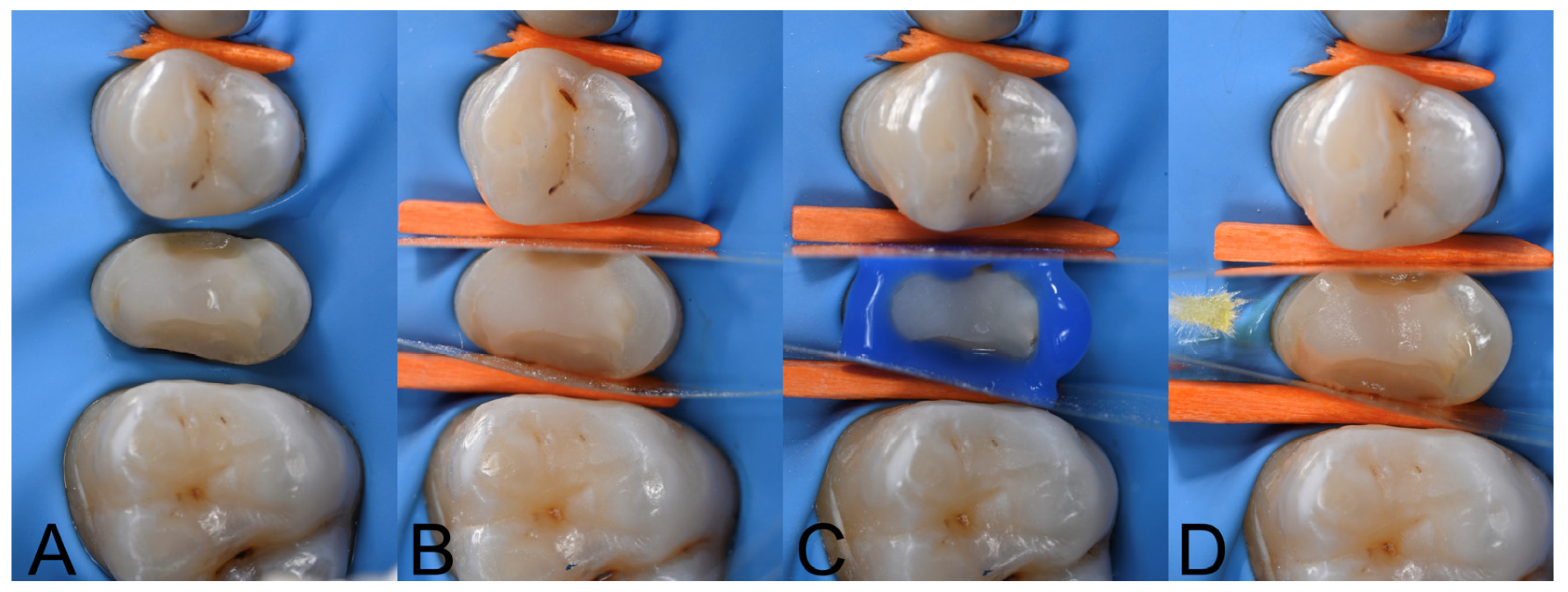 Polymers 17 01224 g003