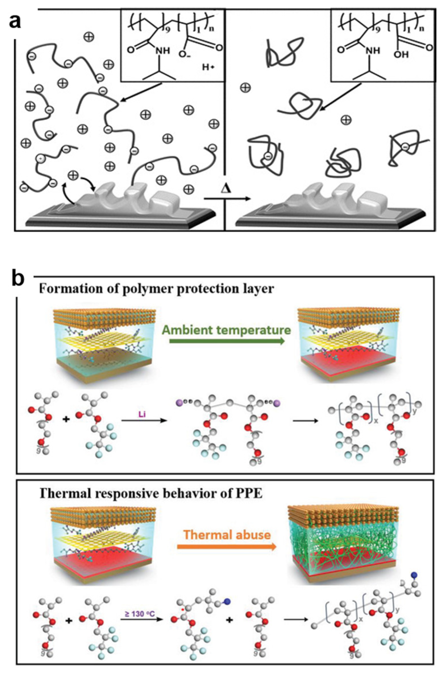 Polymers 17 01227 g005