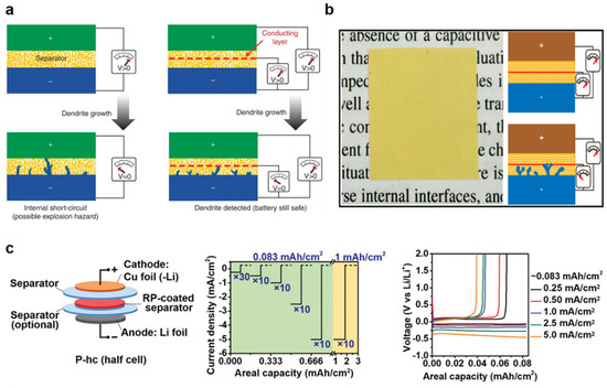①5-F/6-b/6-g セット Critical Perspectives on the Design of Polymeric Materials