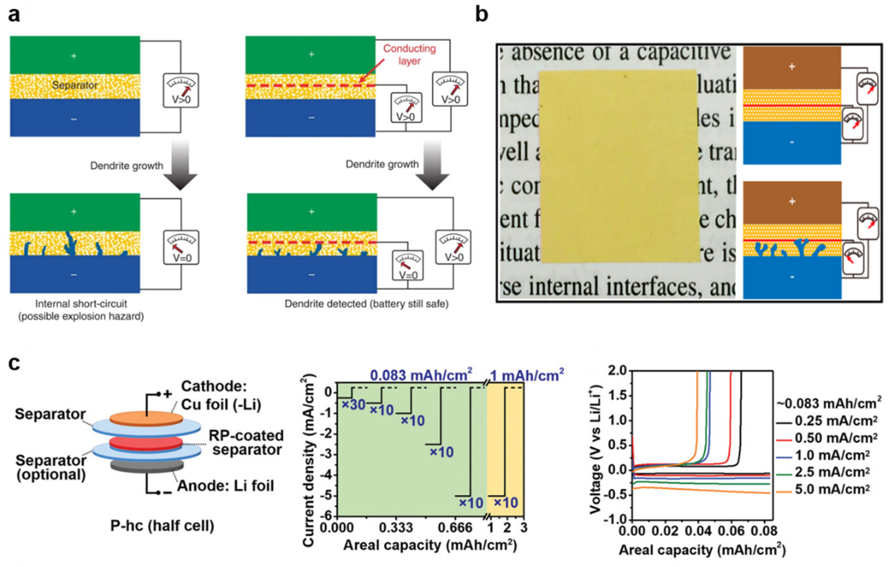 Polymers 17 01227 g009