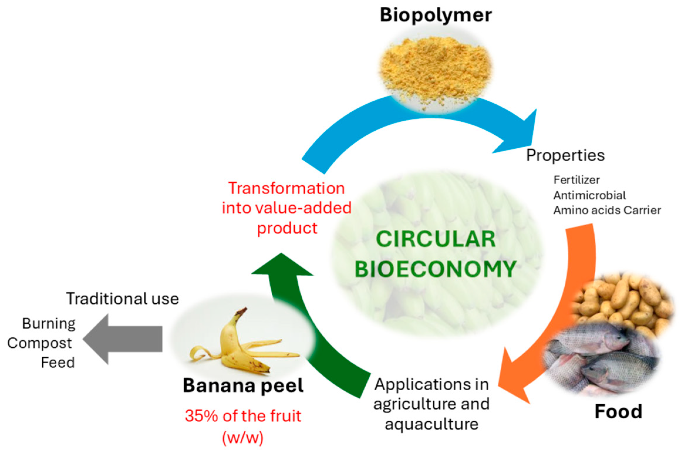 Polymers 17 01230 g001