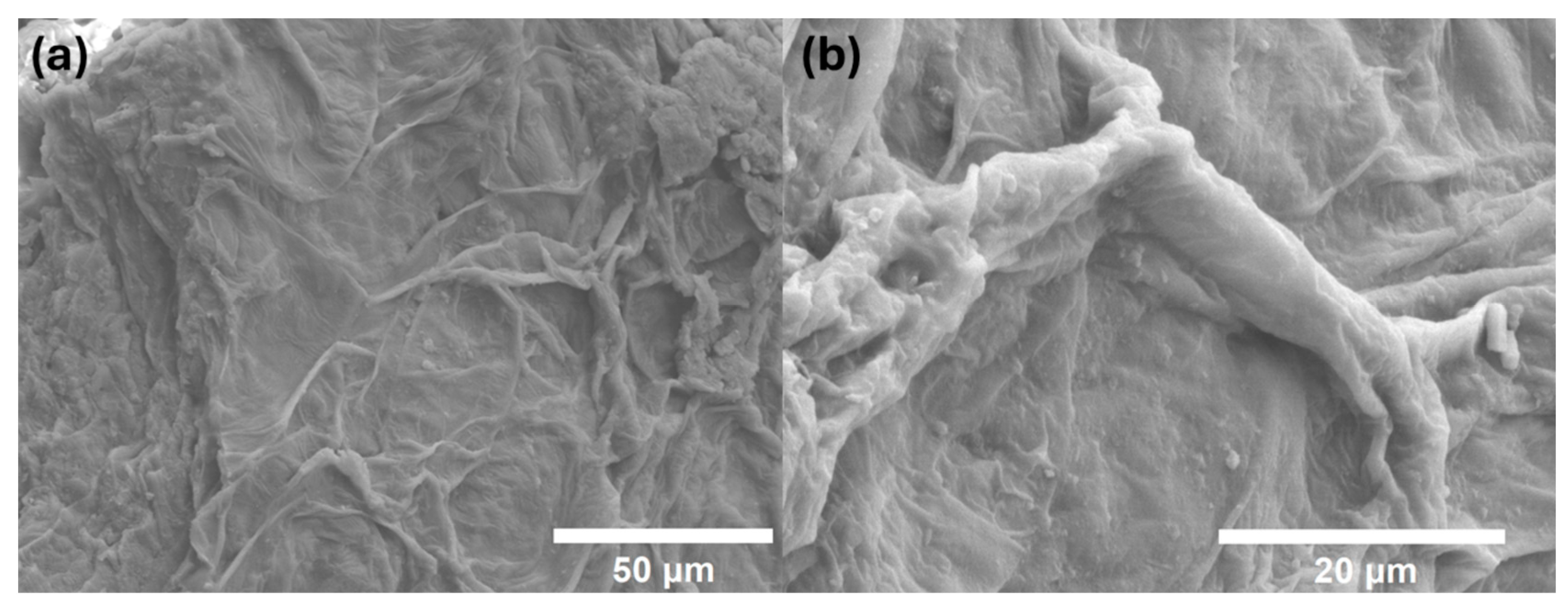 Polymers 17 01230 g008