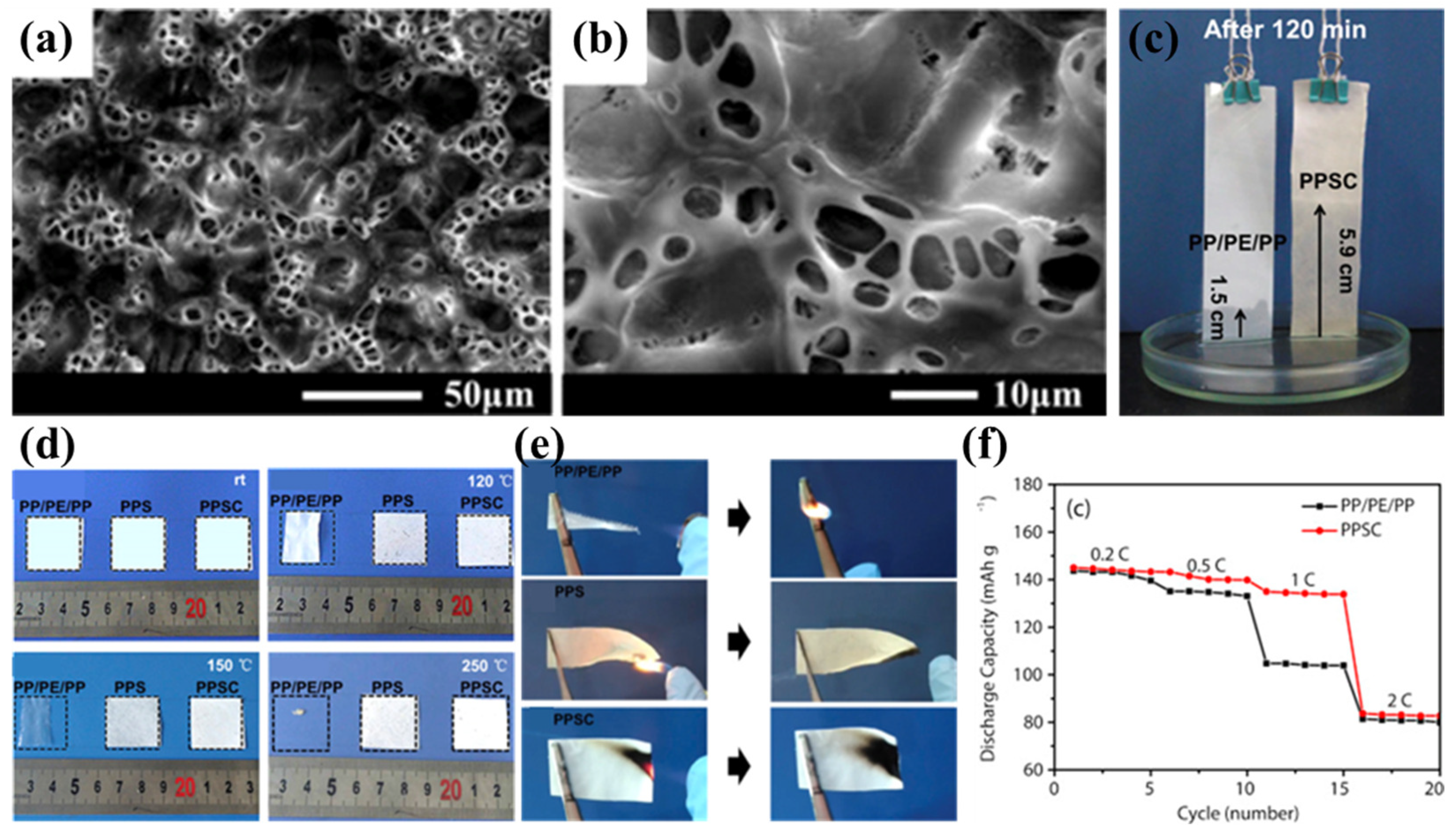 Polymers 17 01237 g003