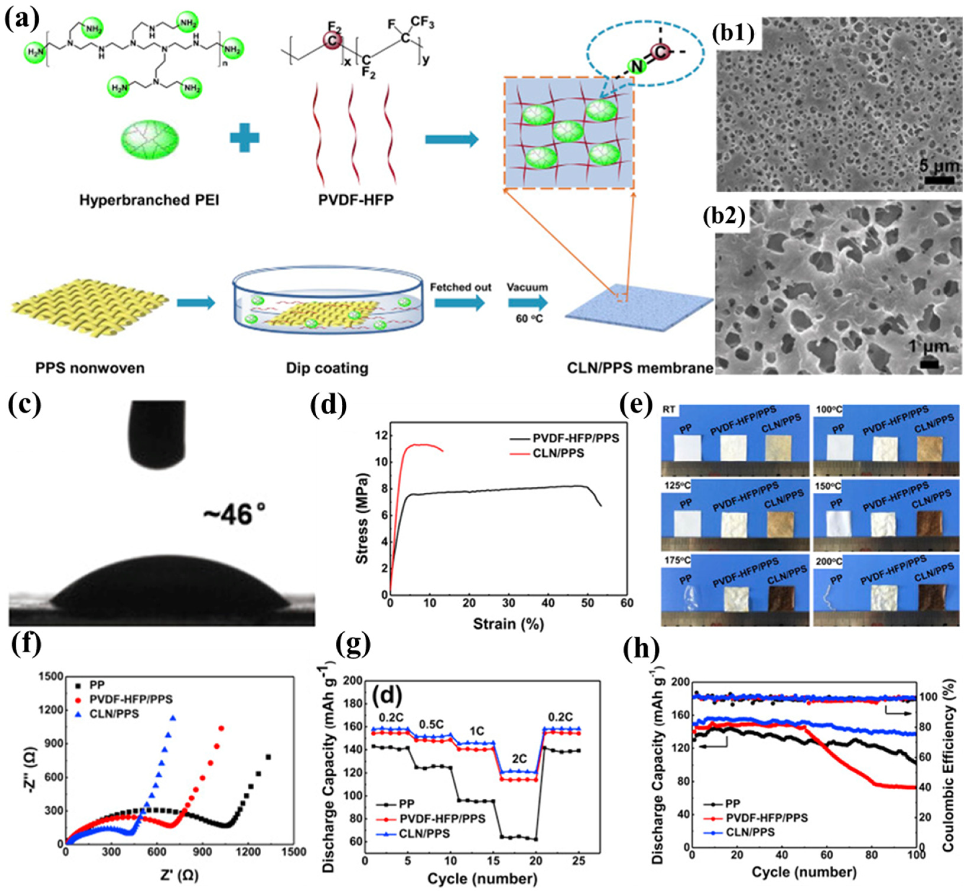 Polymers 17 01237 g004
