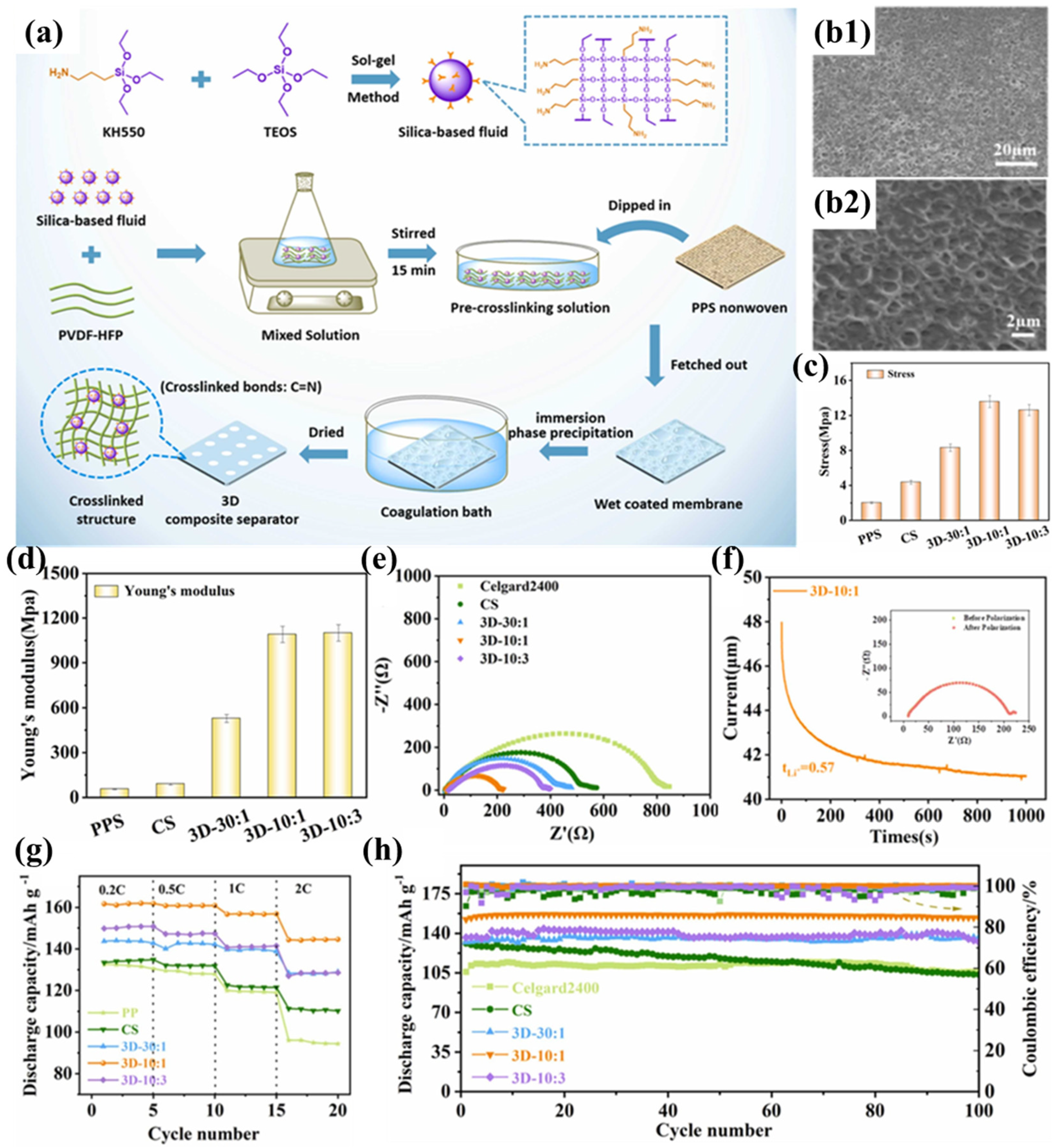 Polymers 17 01237 g006