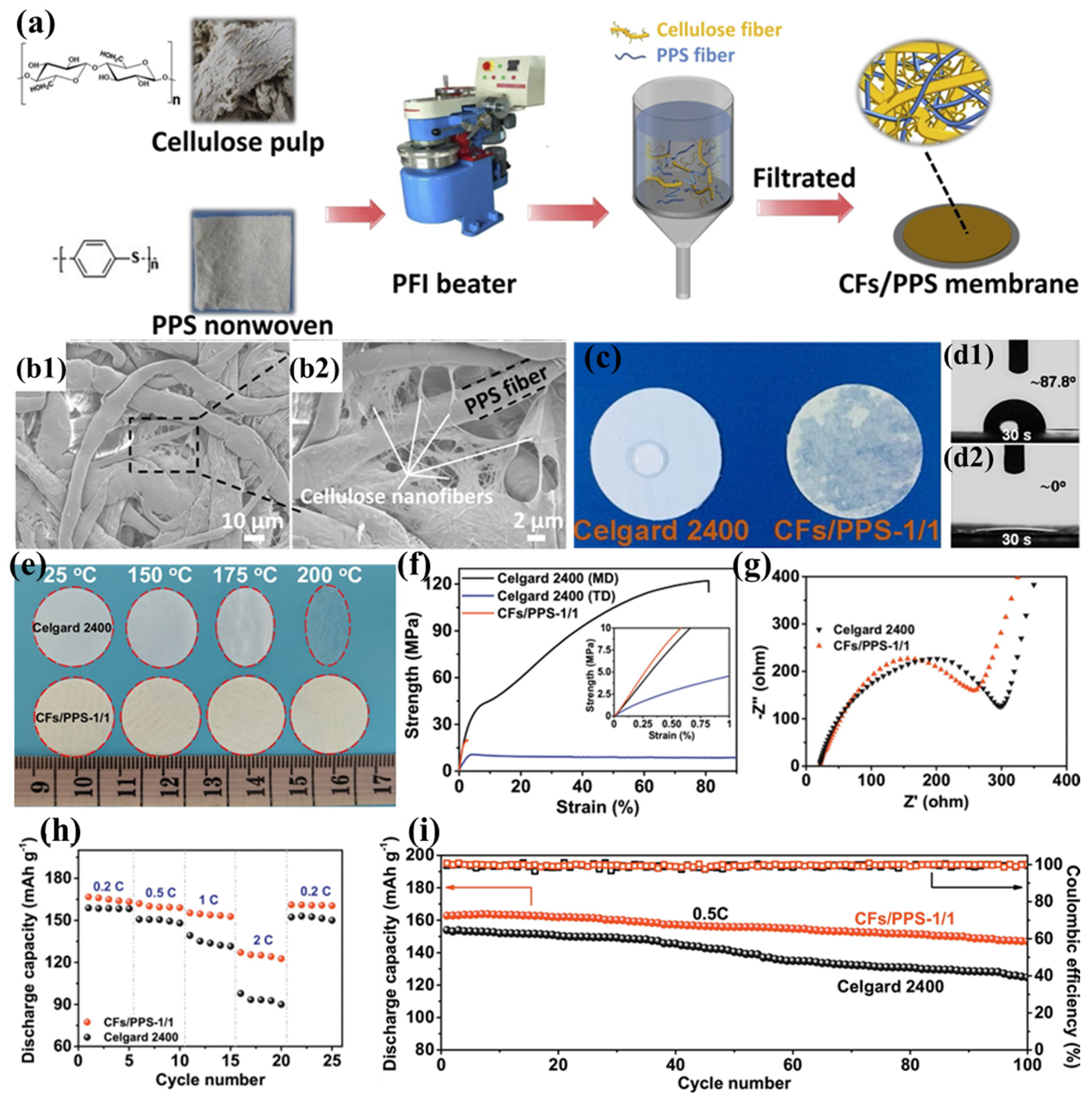 Polymers 17 01237 g008