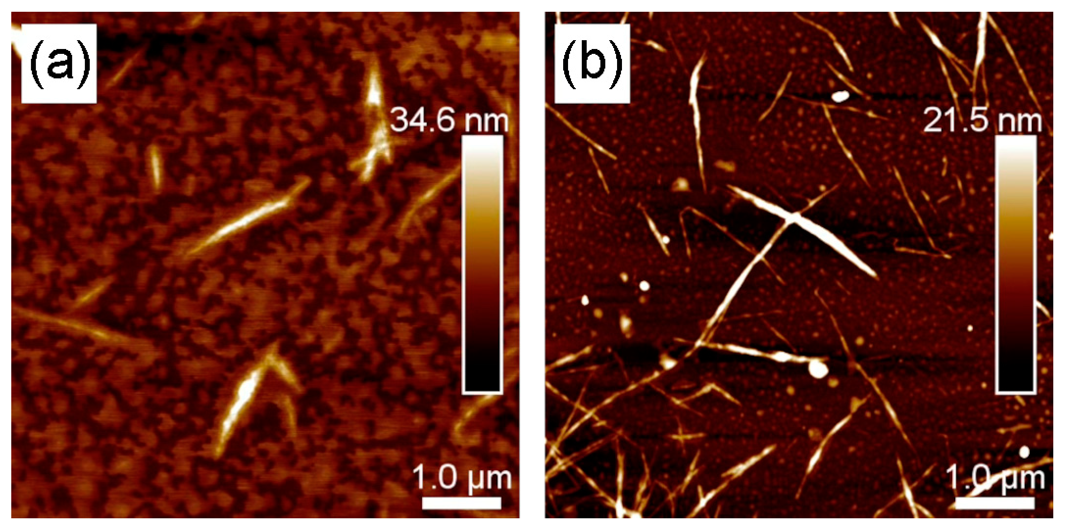 Polymers 17 01240 g005