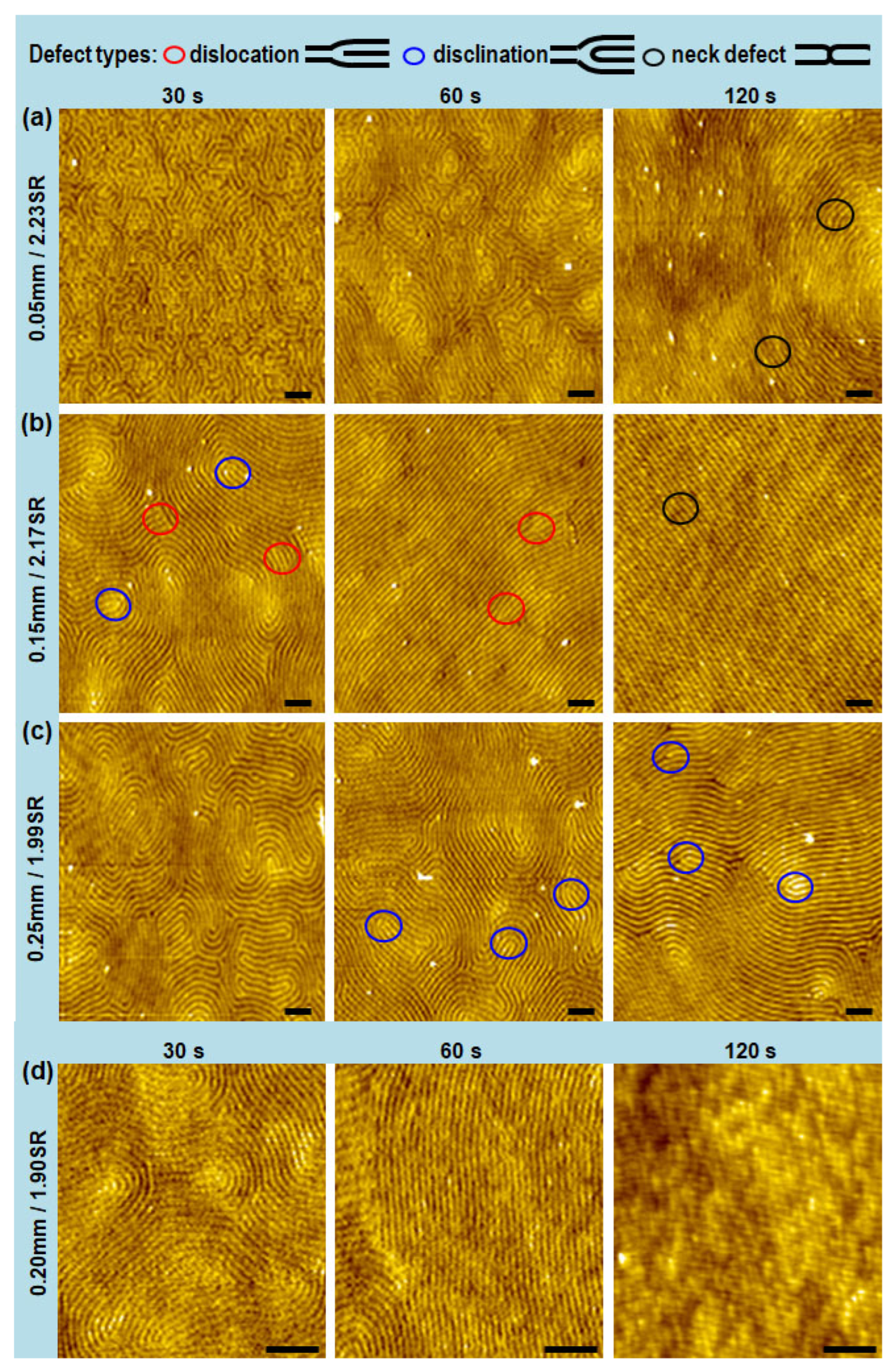 Polymers 17 01242 g002