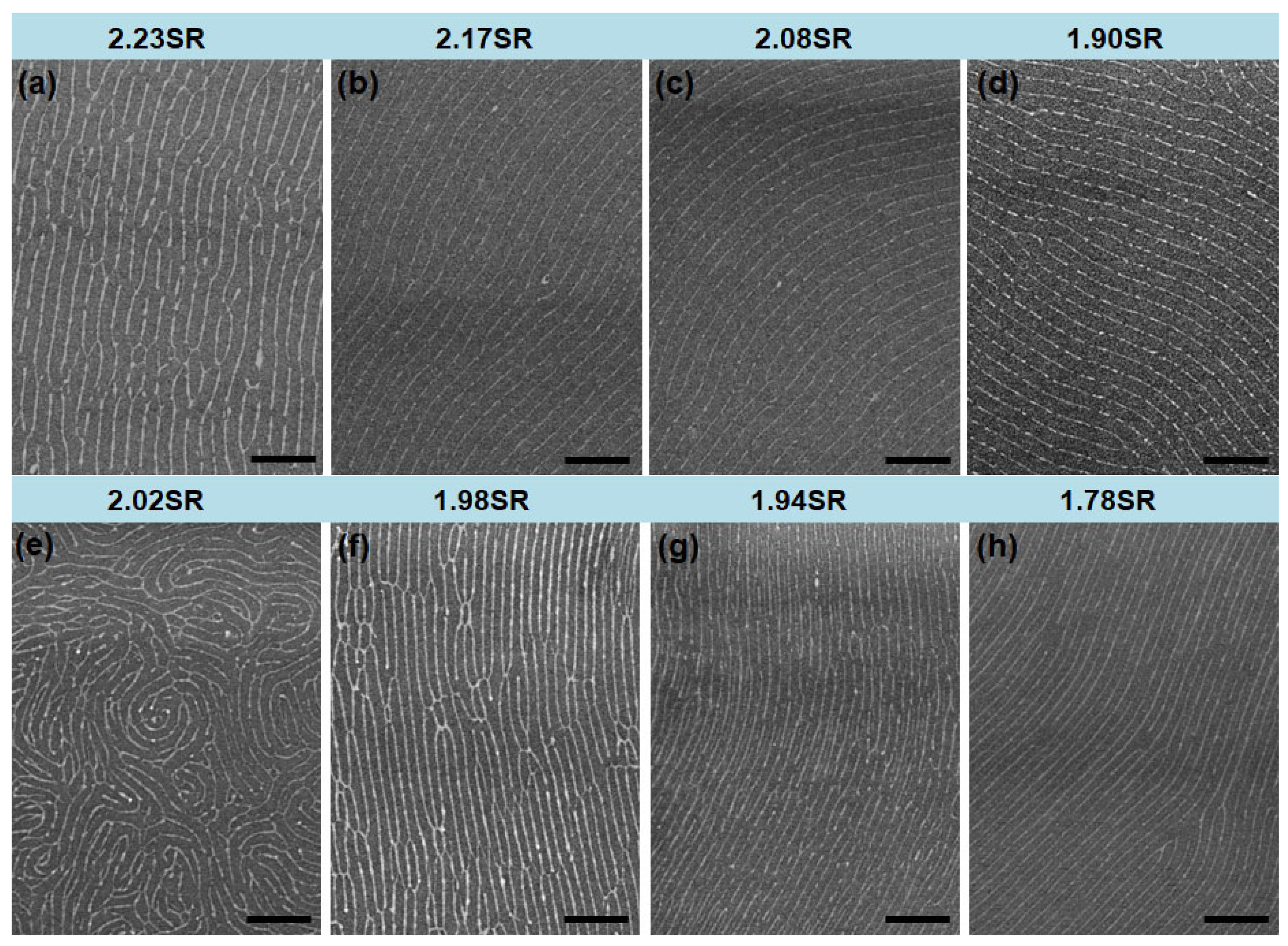 Polymers 17 01242 g004