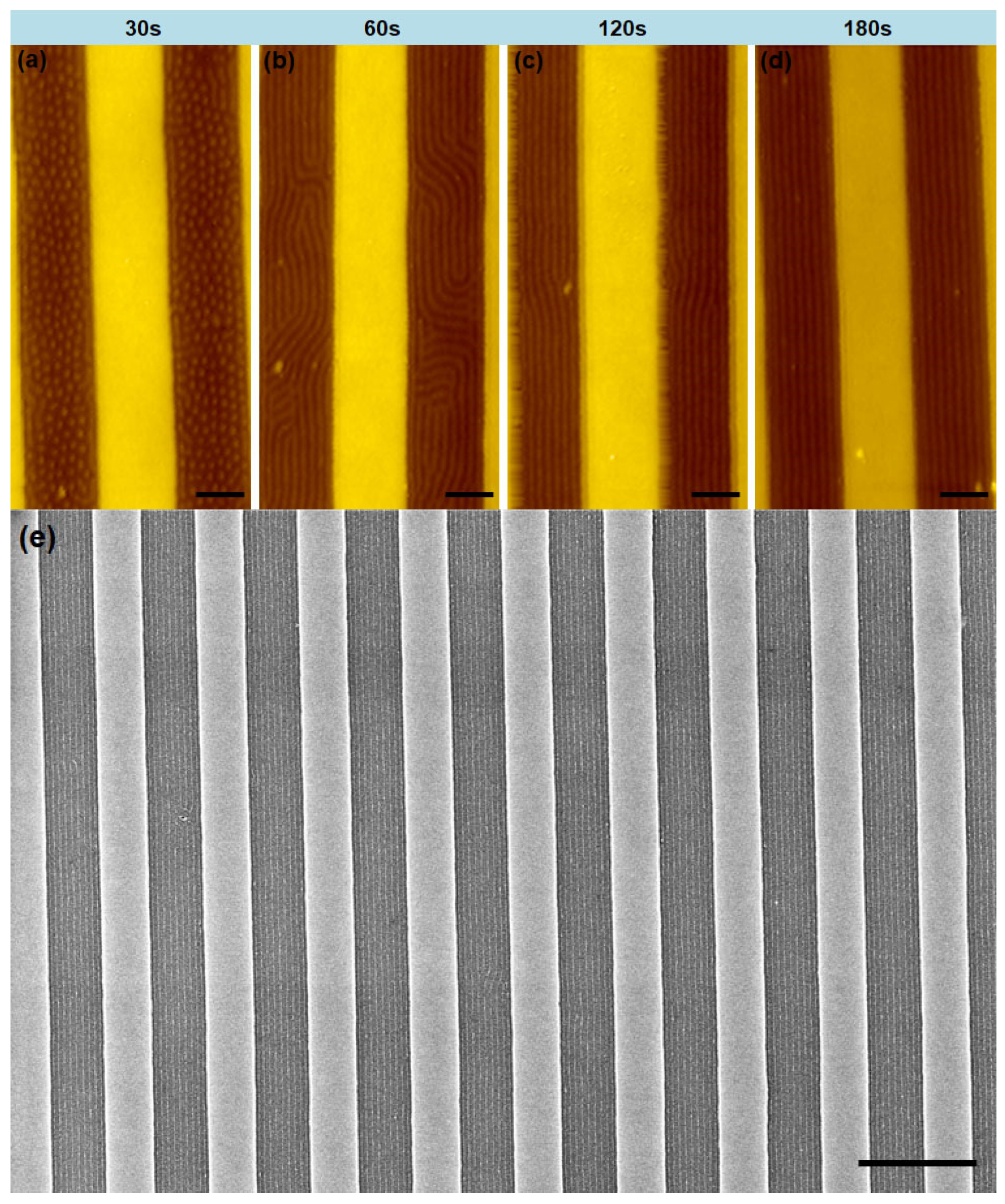 Polymers 17 01242 g005