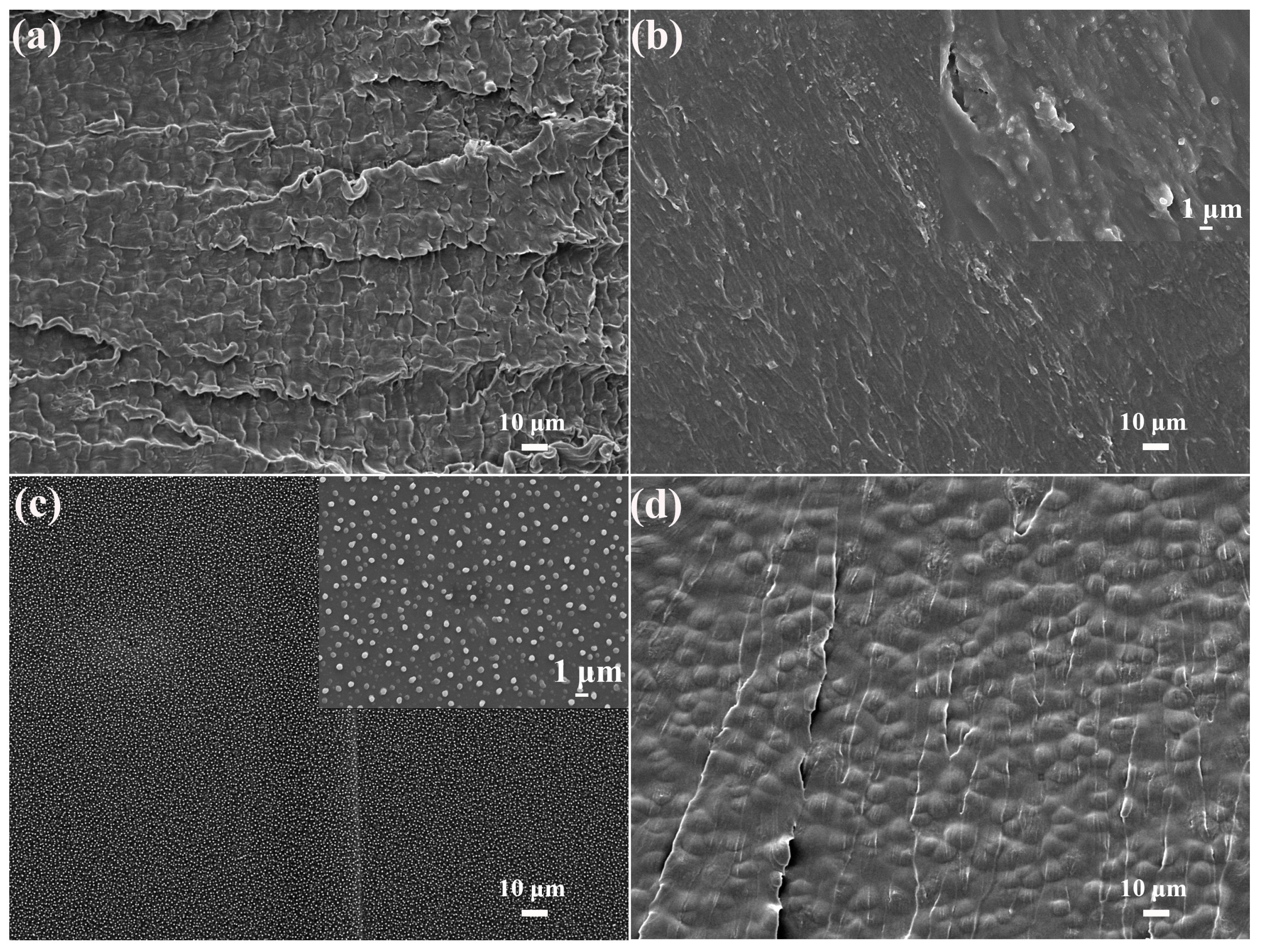 Polymers 17 01243 g007