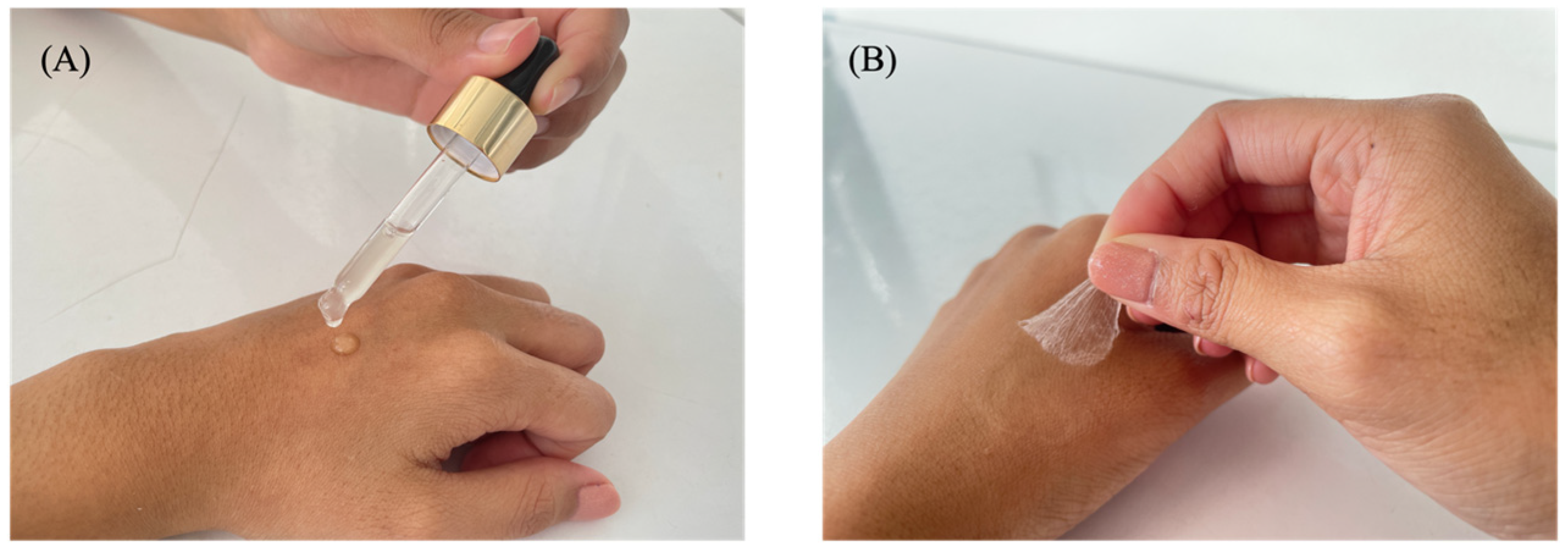 Polymers 17 01246 g001