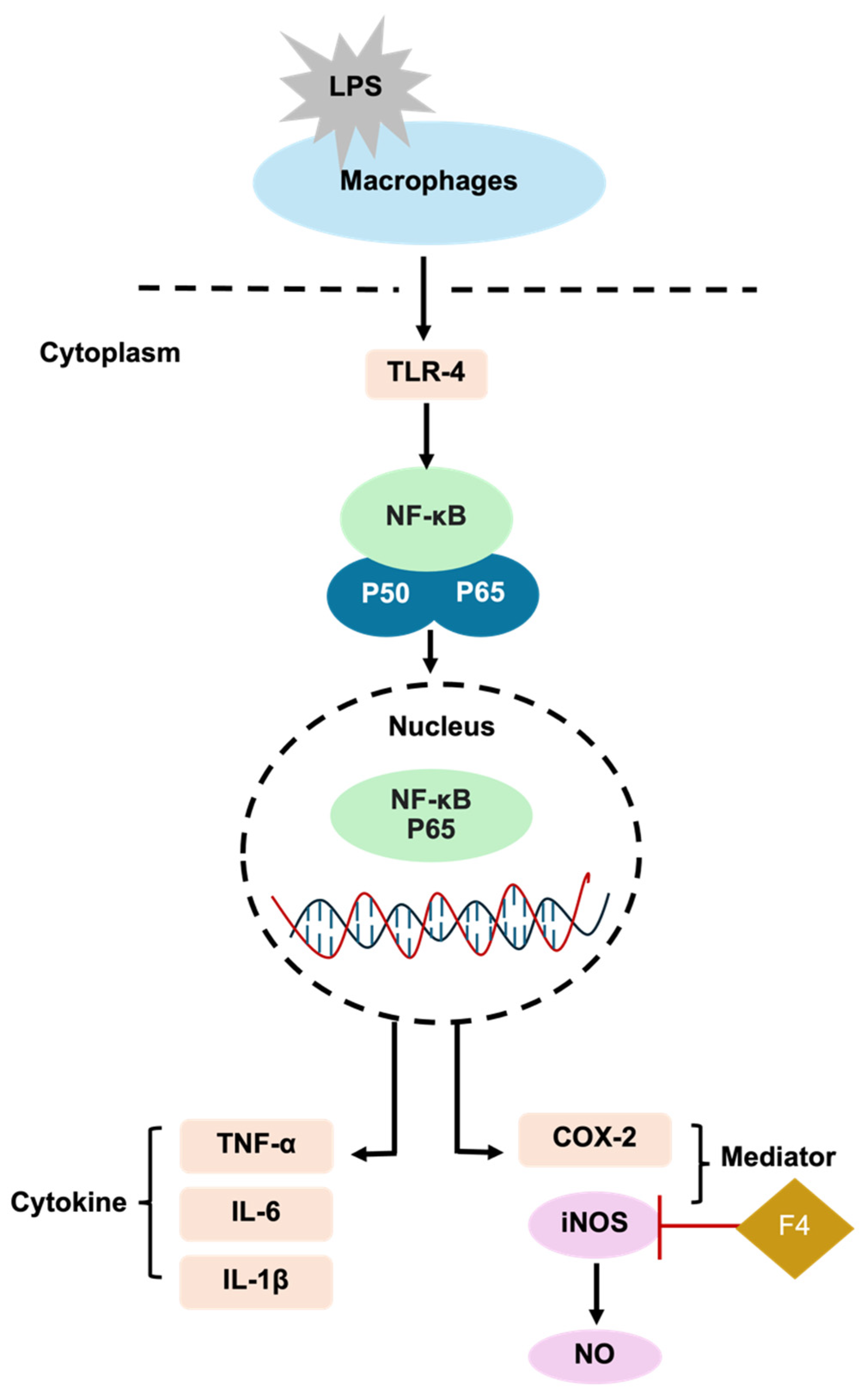 Polymers 17 01246 g007