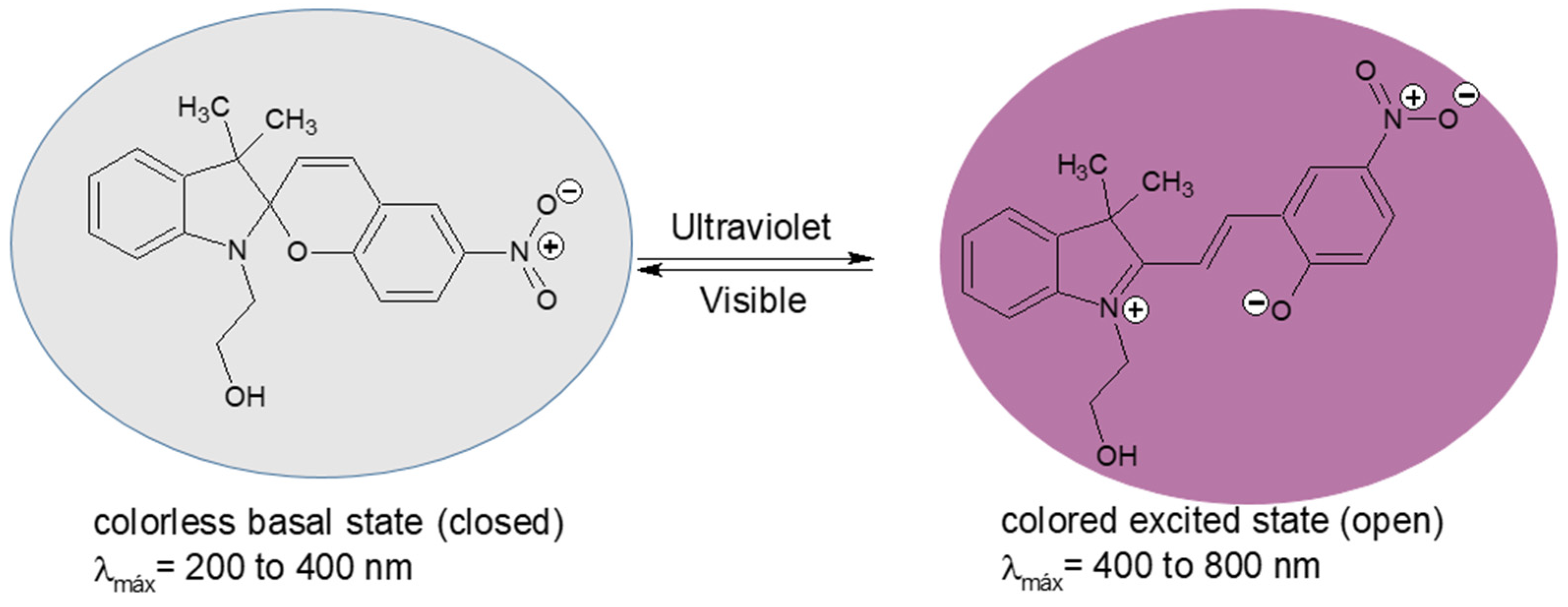 Polymers 17 01247 g001