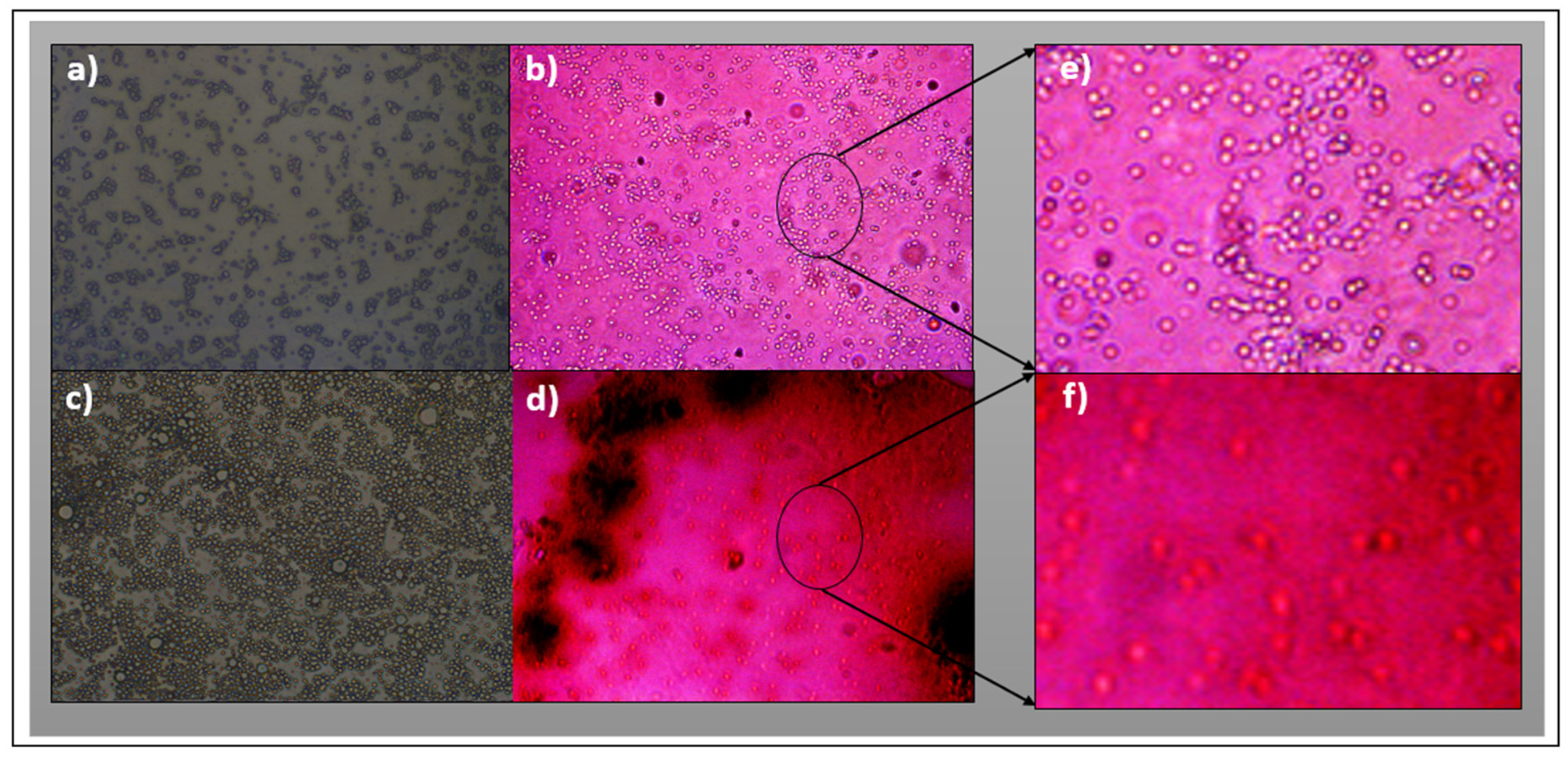 Polymers 17 01247 g009