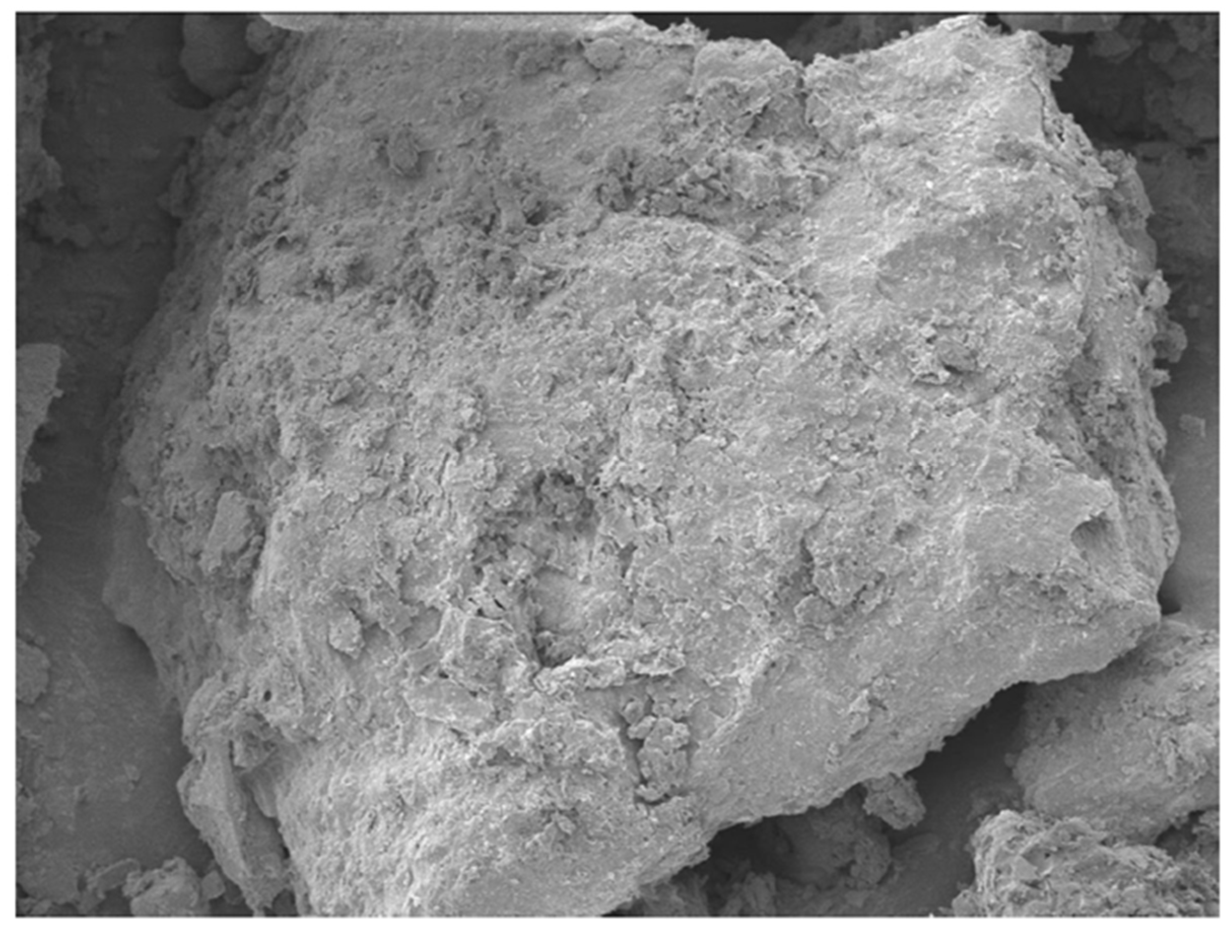 Polymers 17 01253 g009