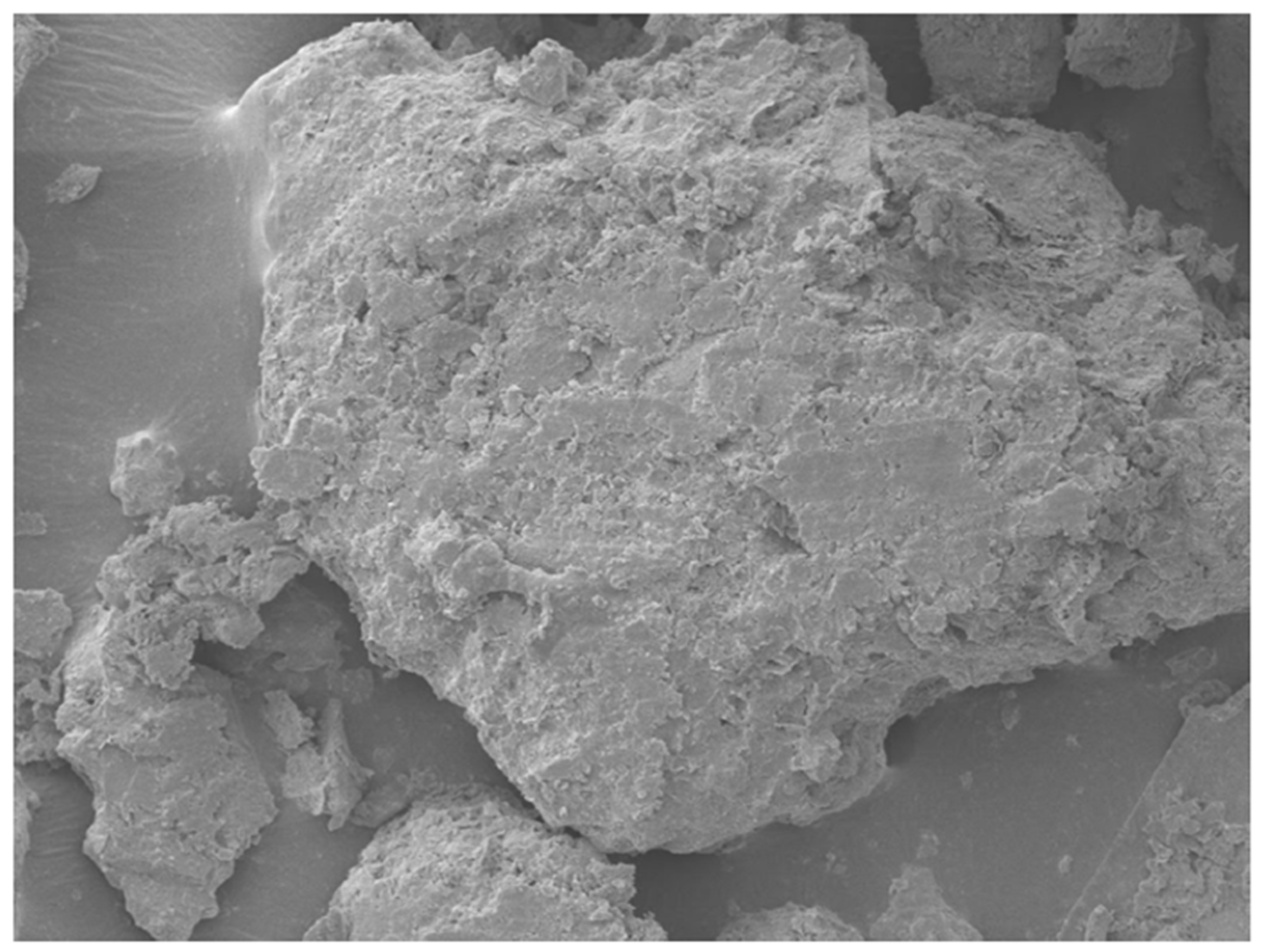 Polymers 17 01253 g010