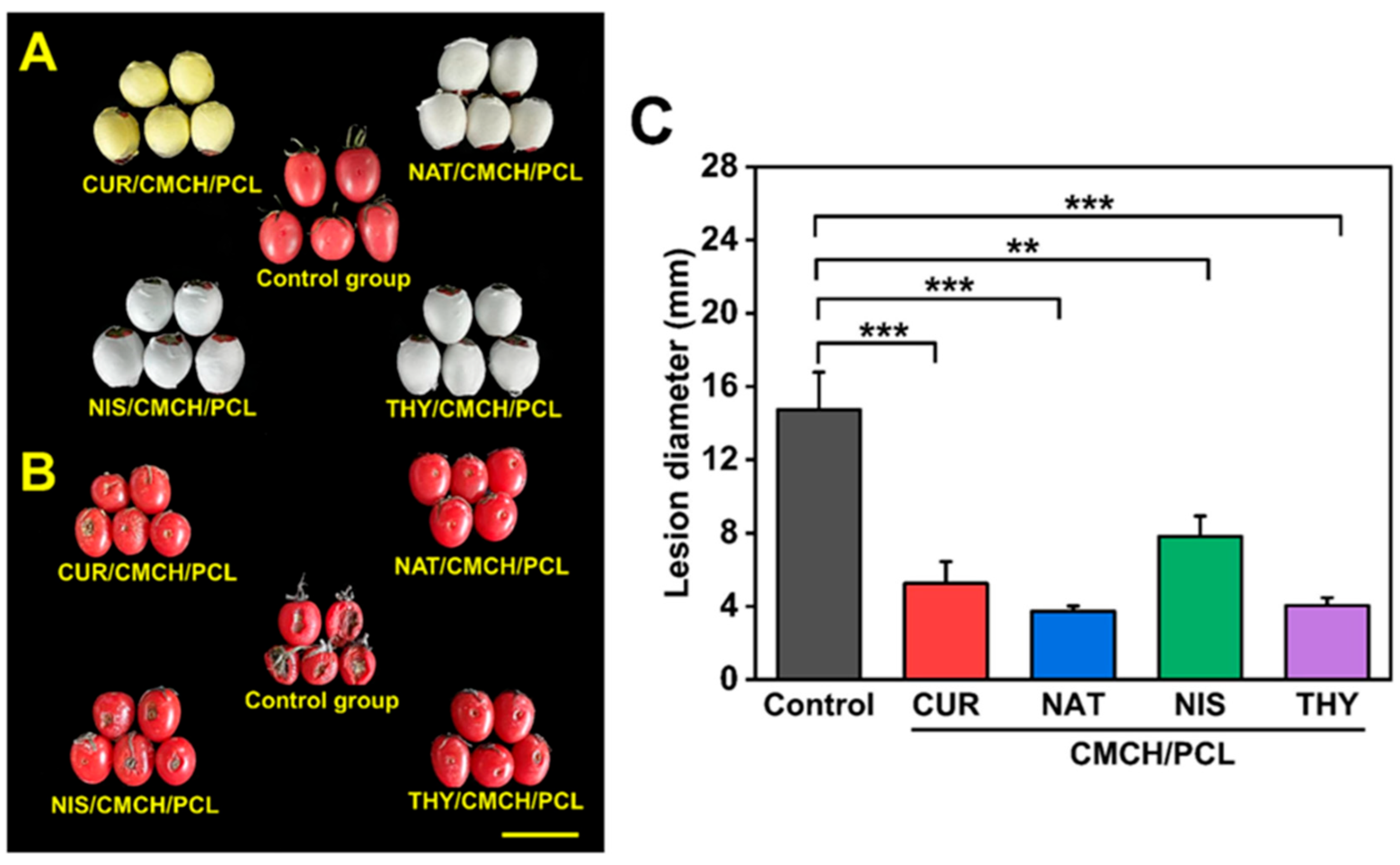 Polymers 17 01257 g004
