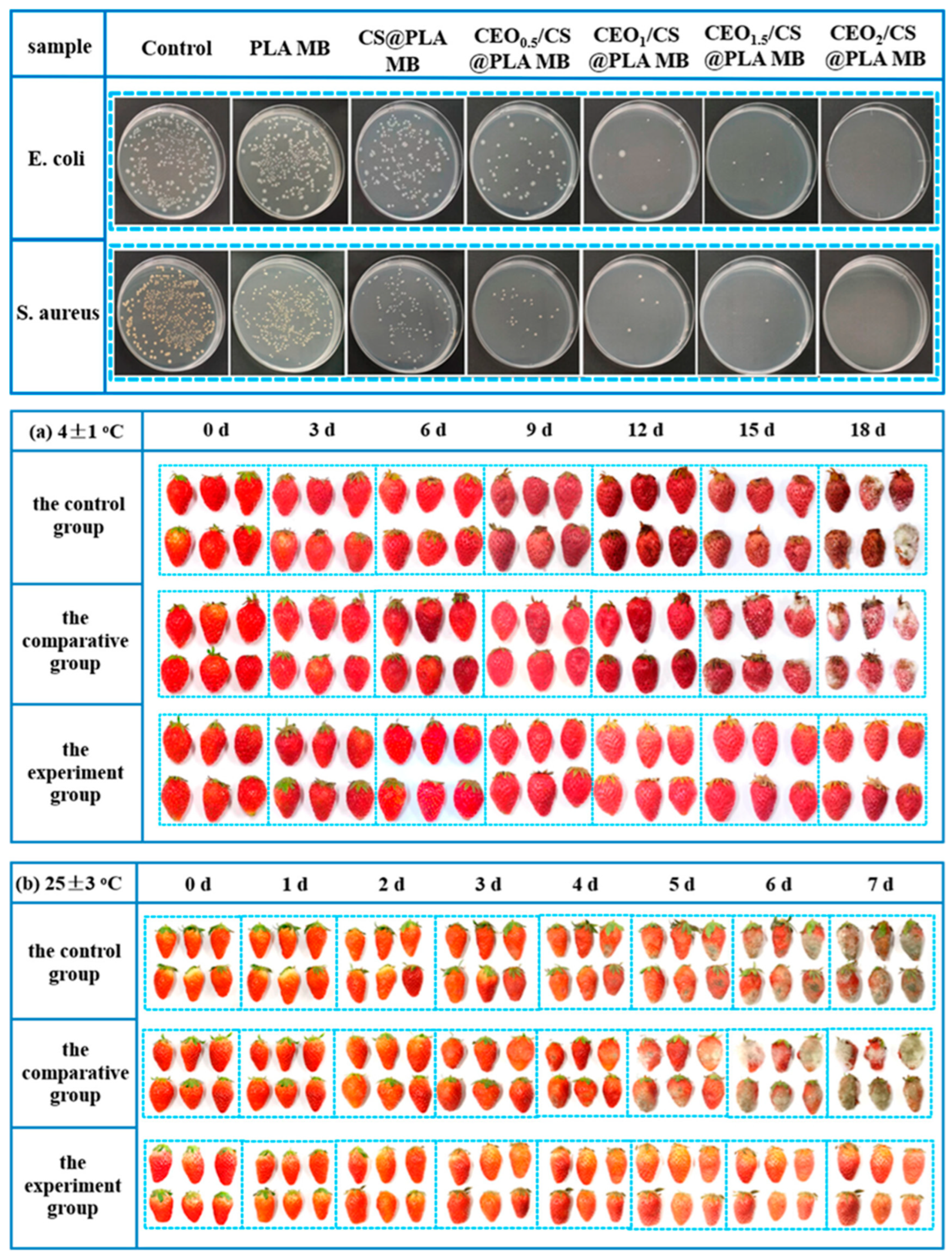 Polymers 17 01257 g018