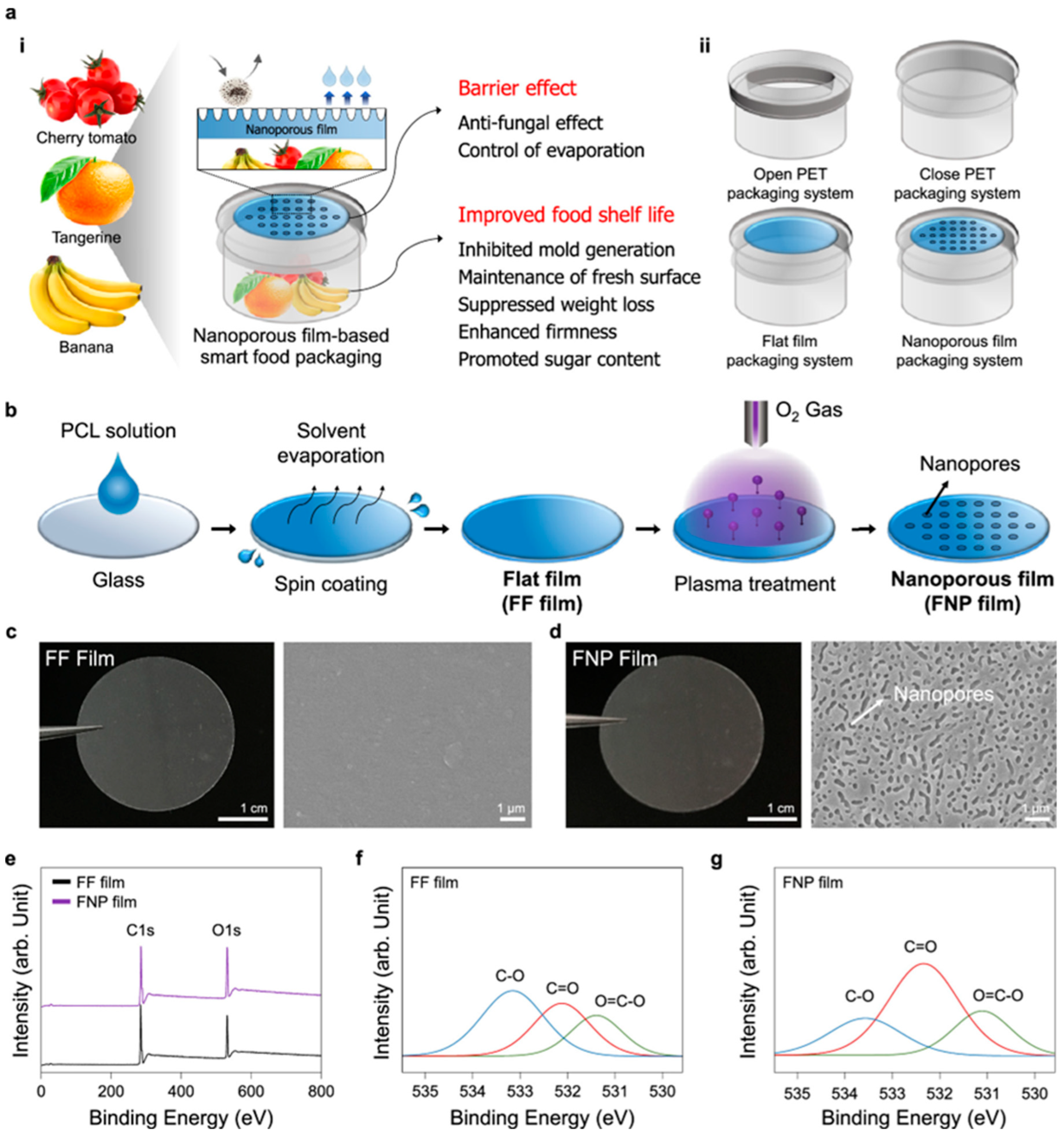 Polymers 17 01257 g019