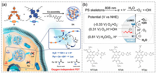 Conjugated Polymer-Photosensitizers for Cancer Photodynamic