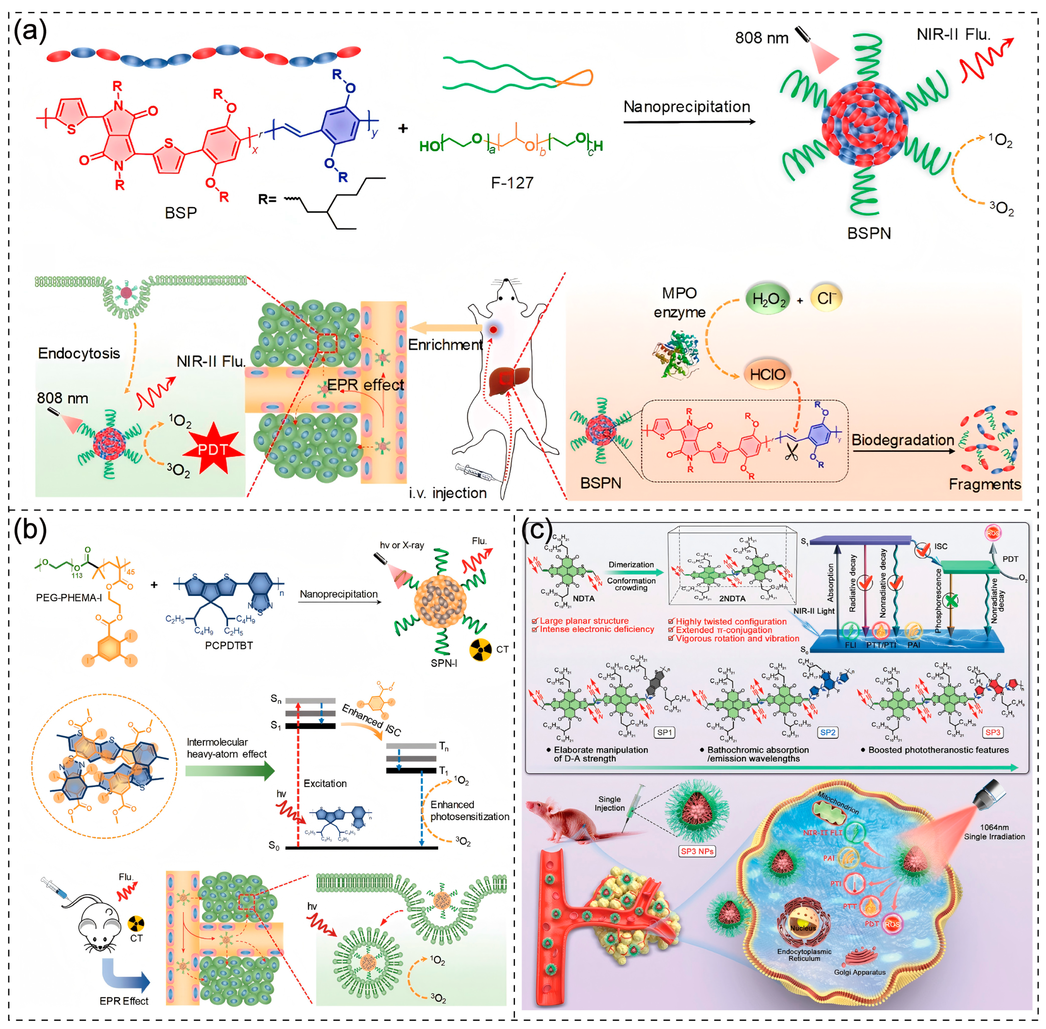 Polymers 17 01258 g009