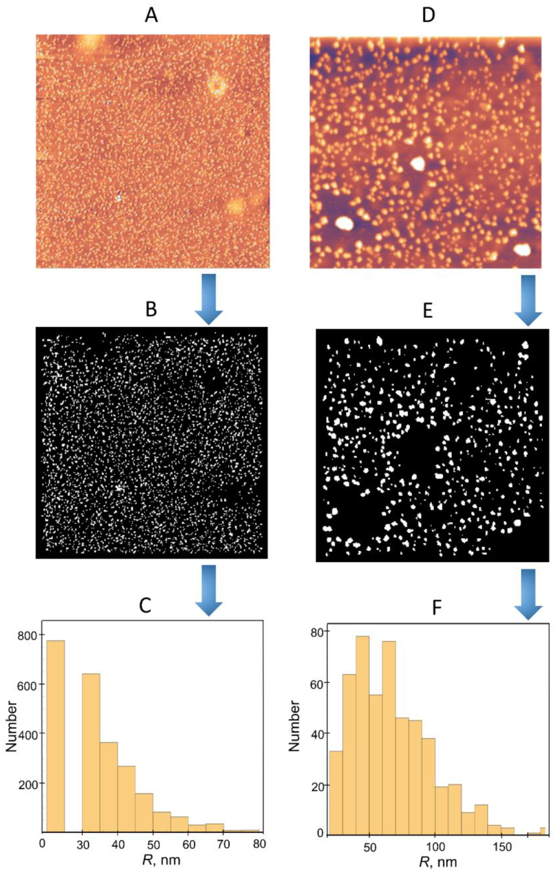 Polymers 17 01259 g012