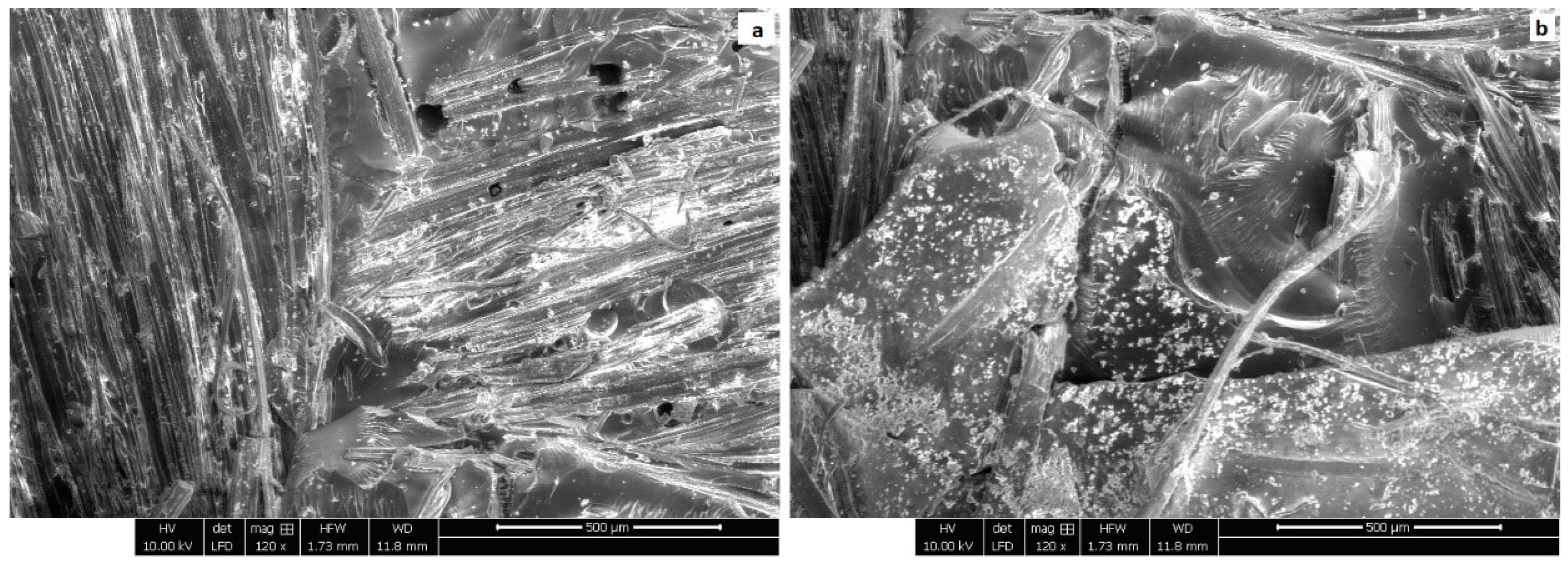 Polymers 17 01261 g003