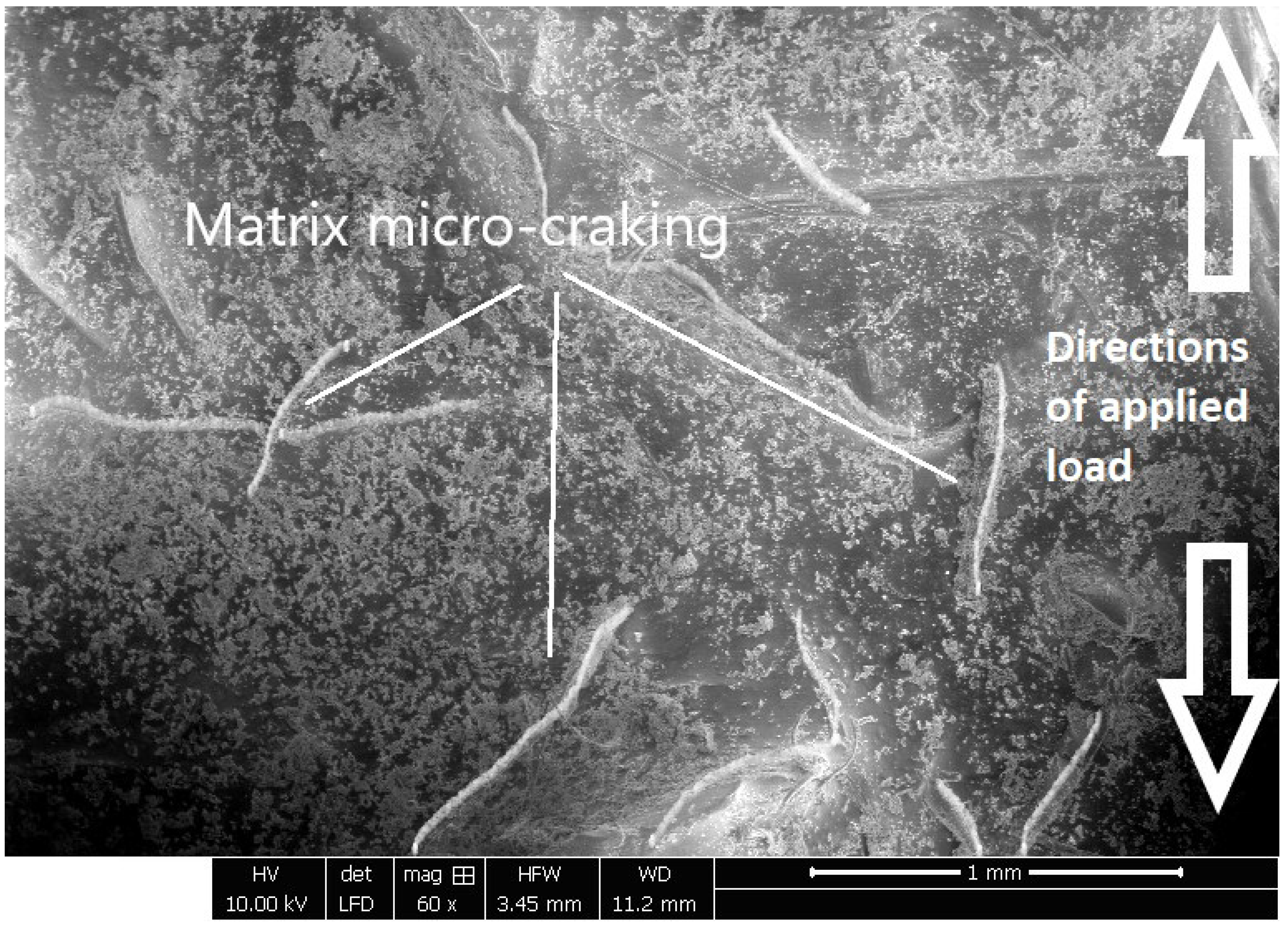 Polymers 17 01261 g004