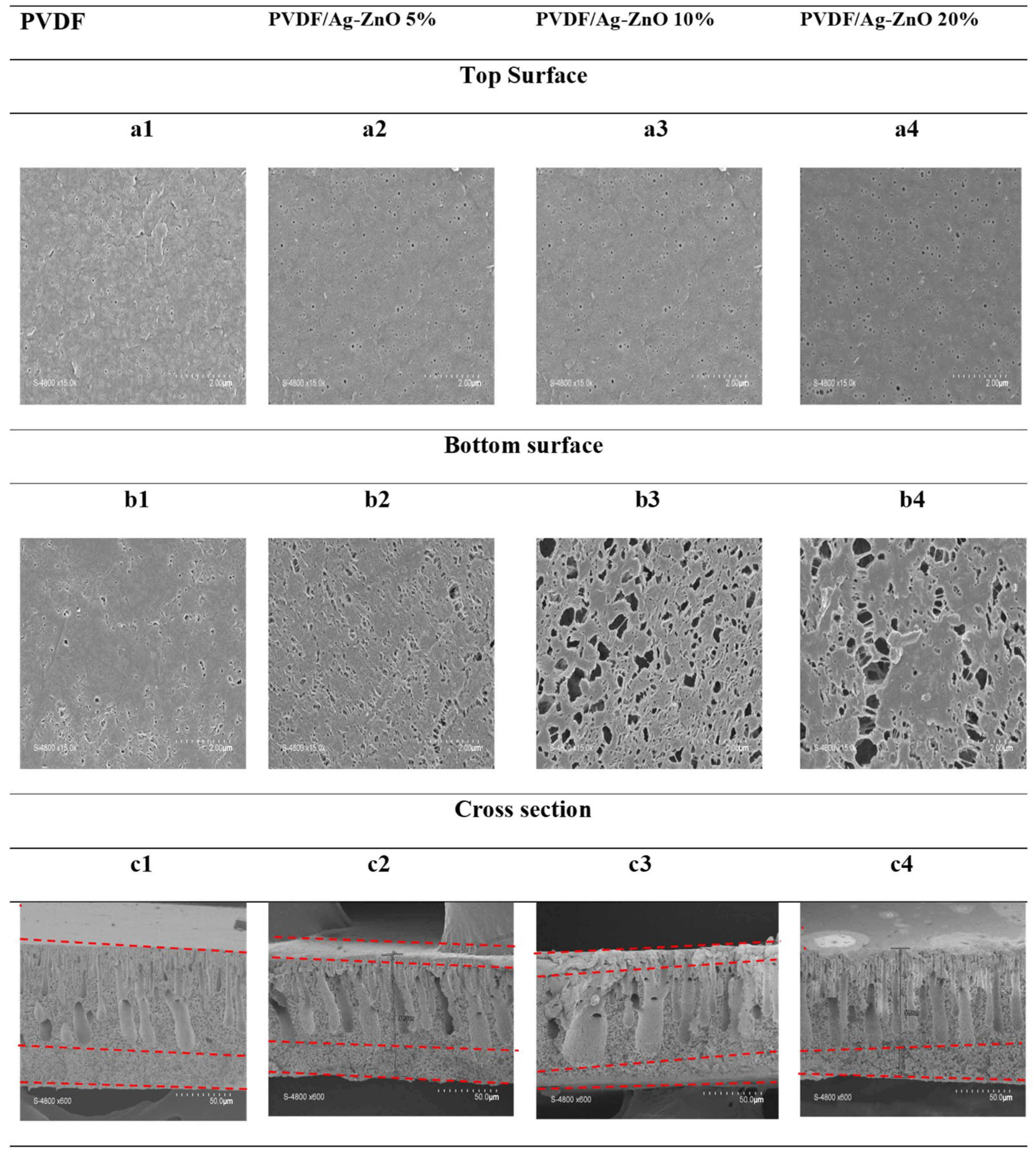 Polymers 17 01269 g004