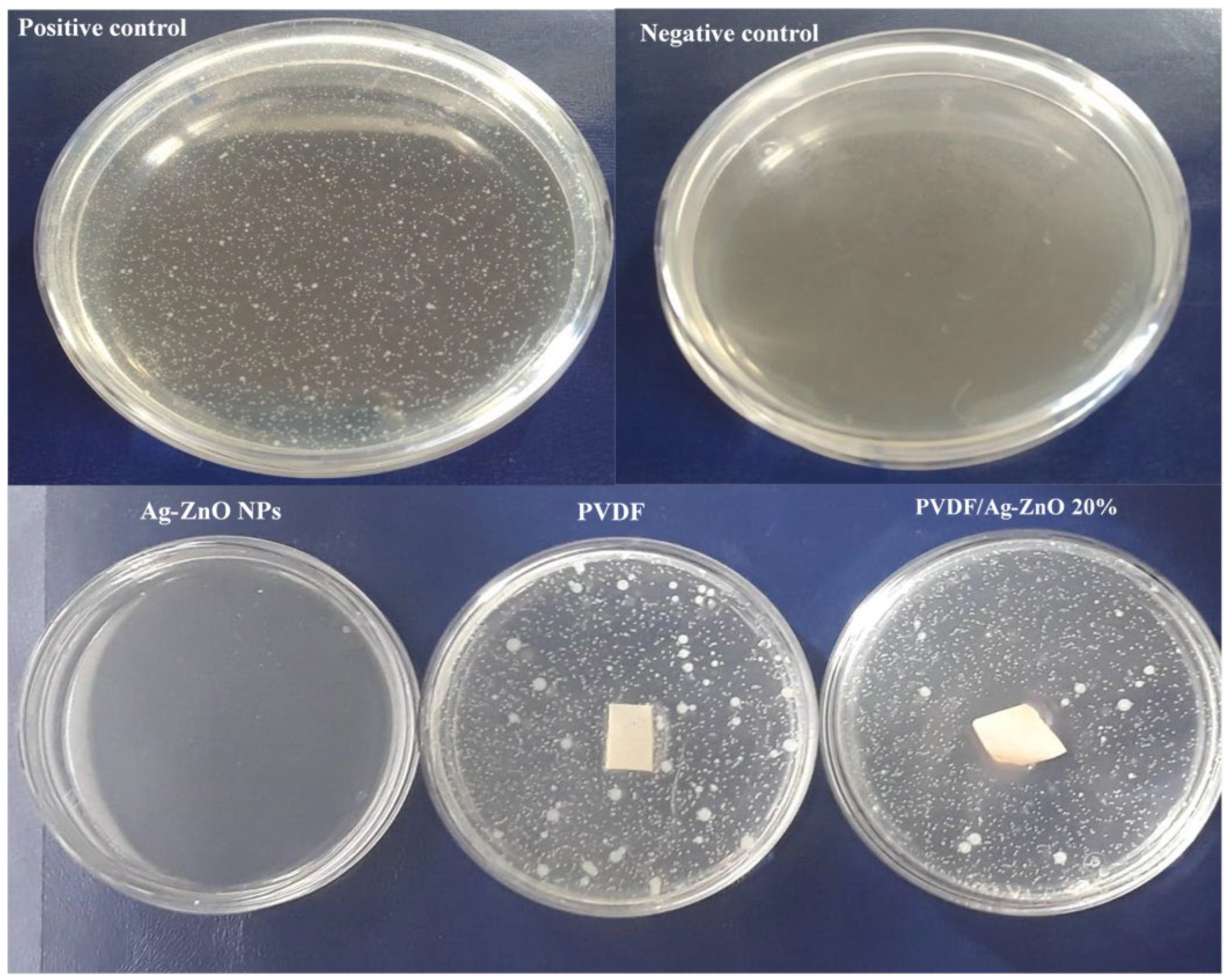 Polymers 17 01269 g007