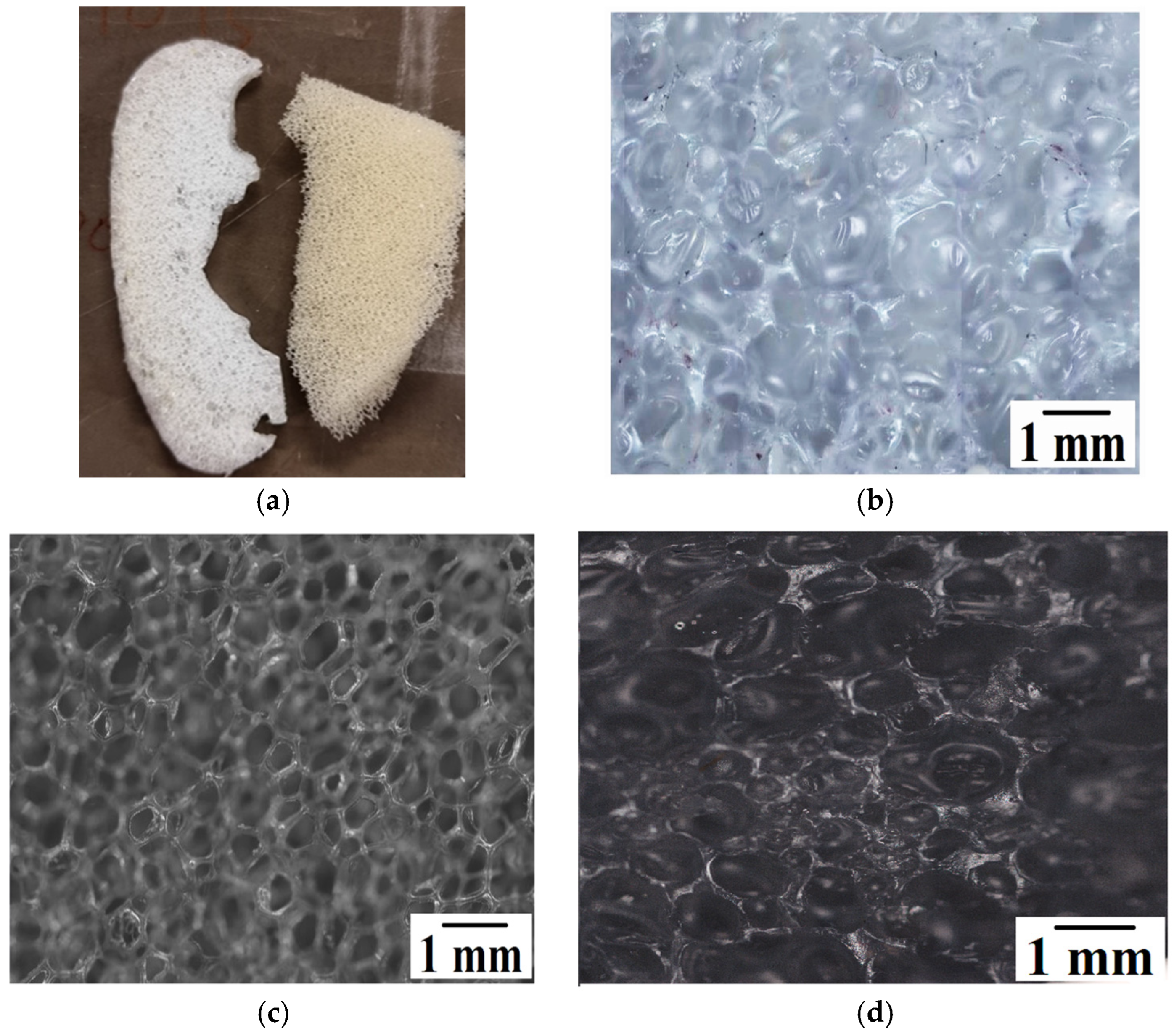 Polymers 17 01270 g004