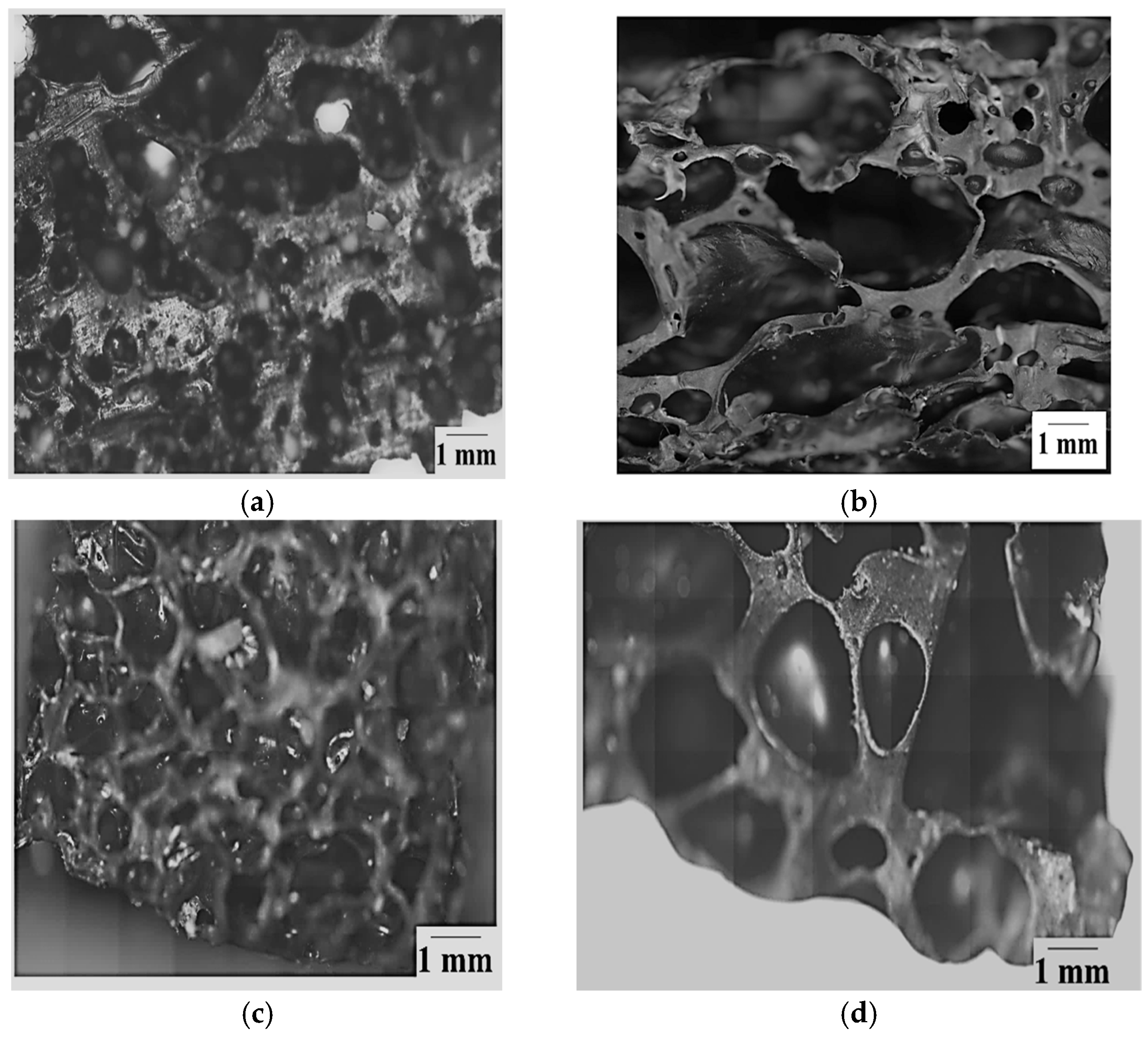 Polymers 17 01270 g007