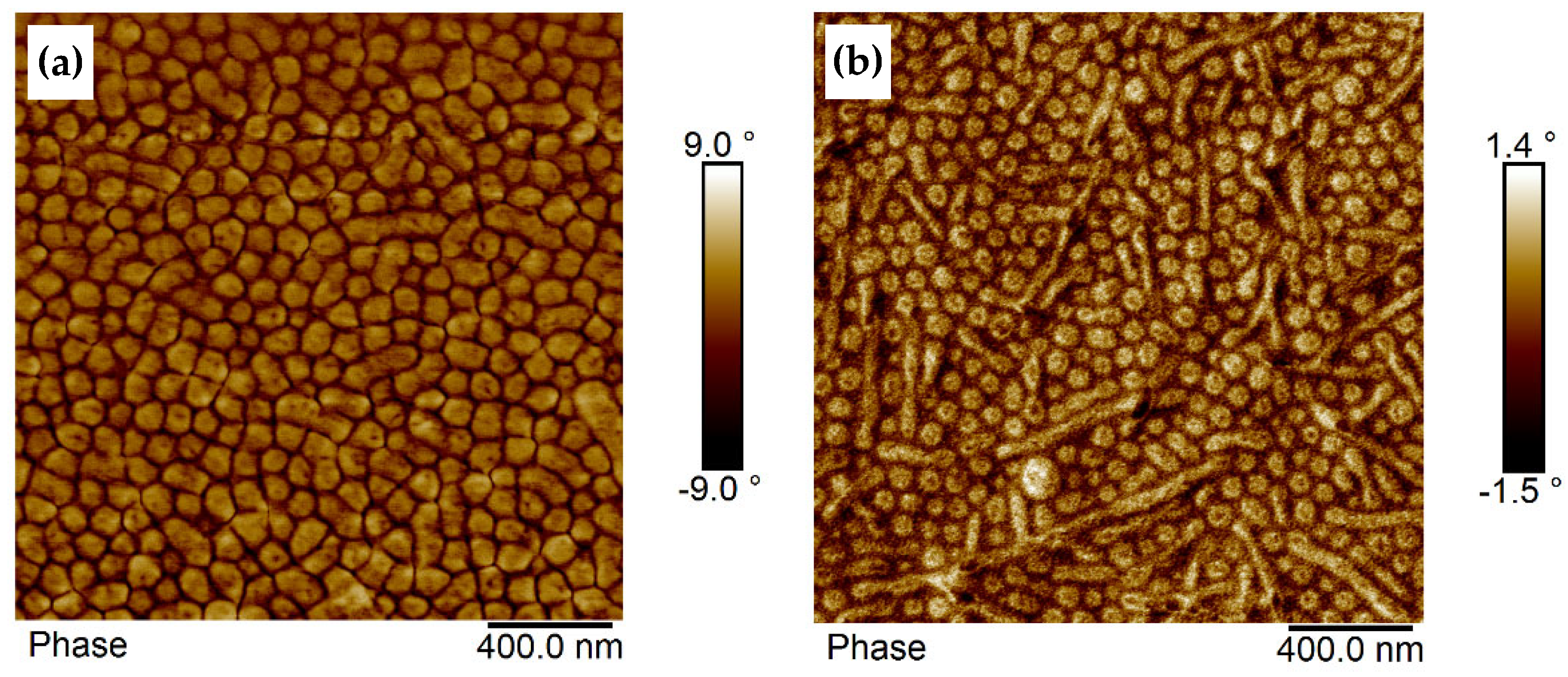 Polymers 17 01271 g007