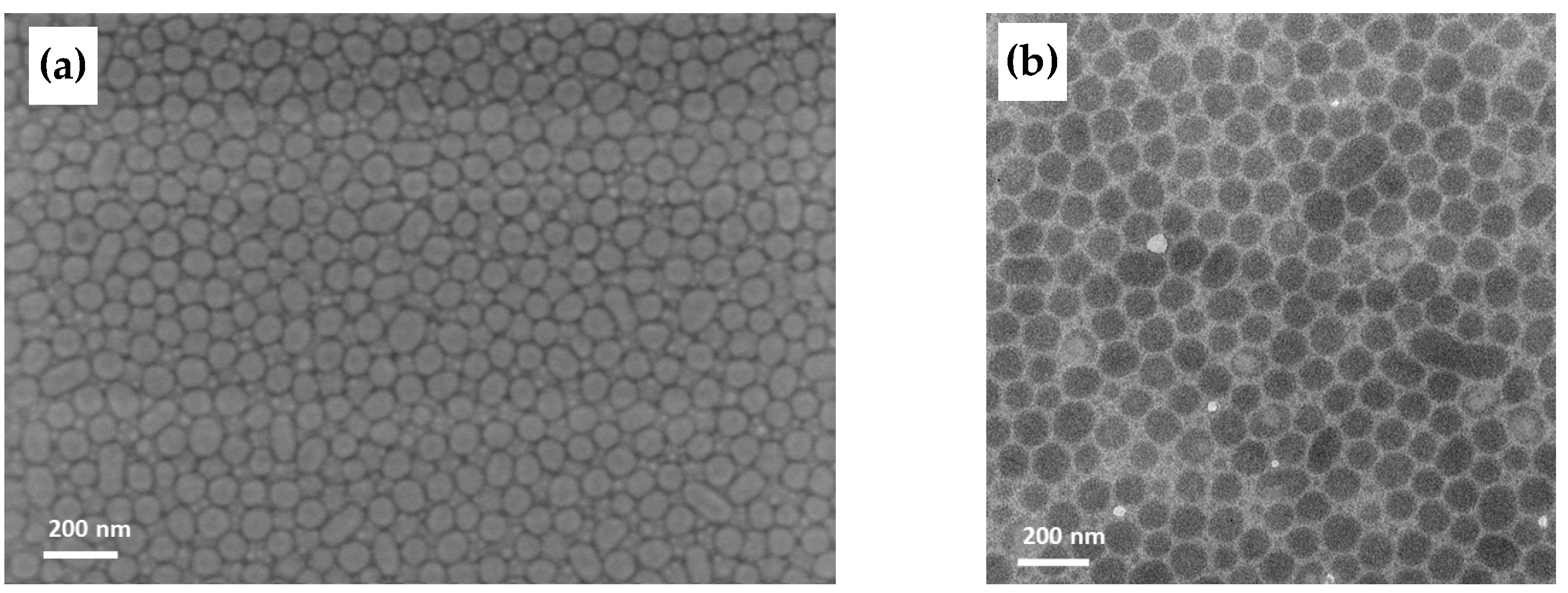 Polymers 17 01271 g010