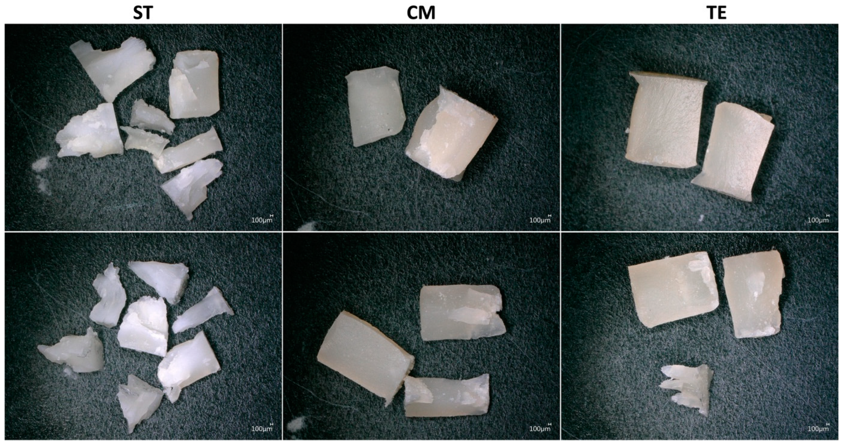 Polymers 17 01272 g002