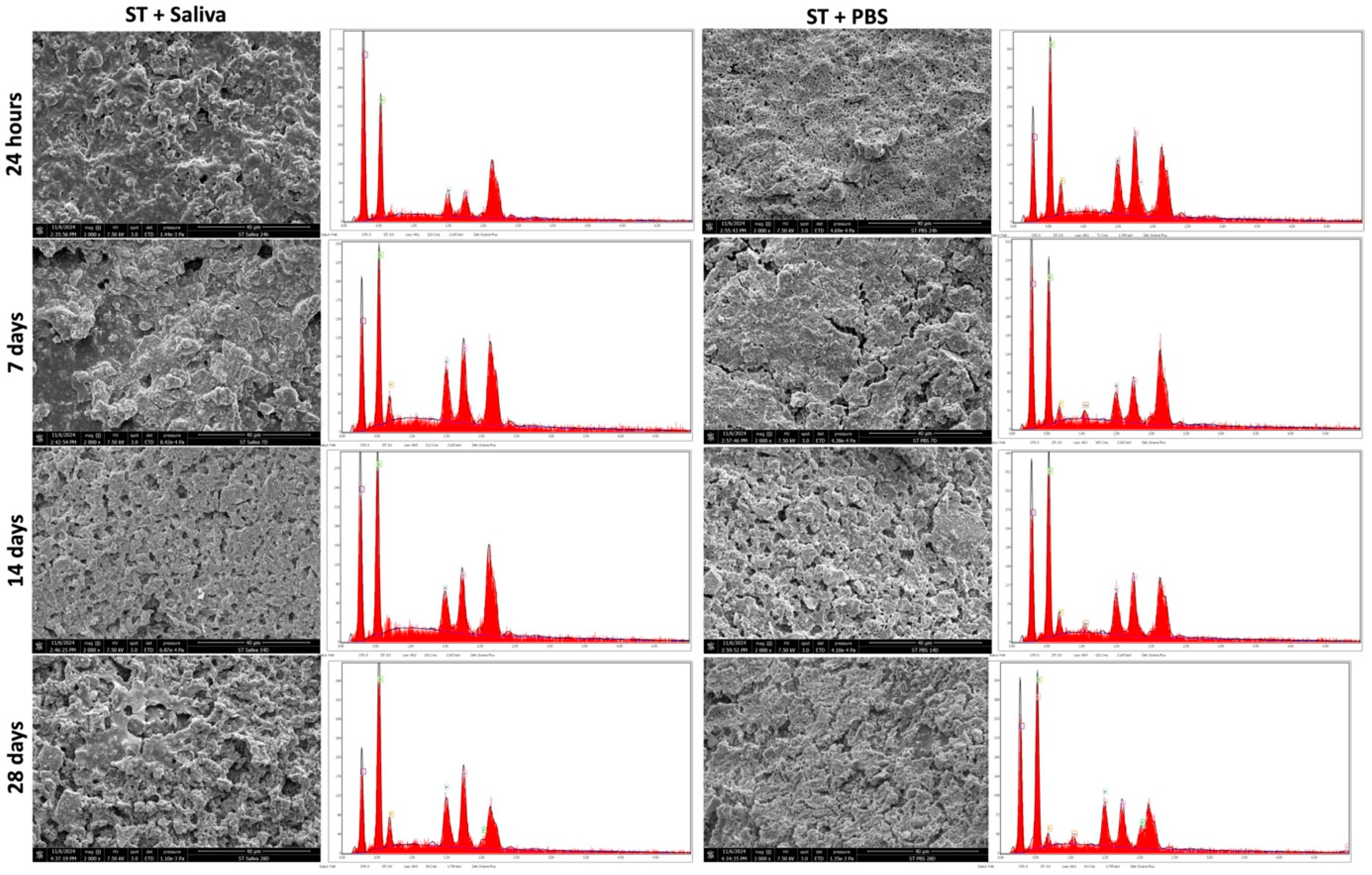 Polymers 17 01272 g004