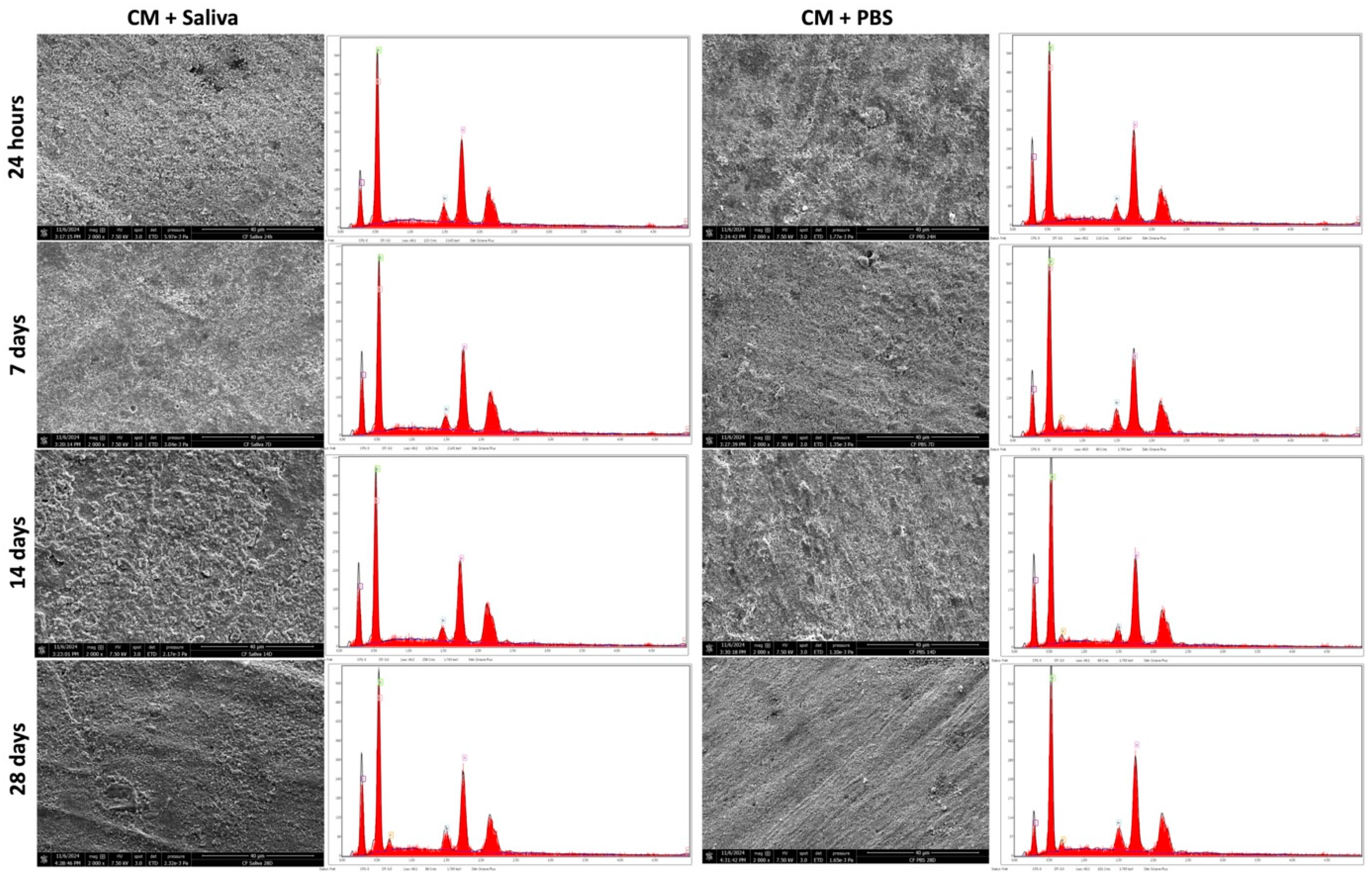 Polymers 17 01272 g005