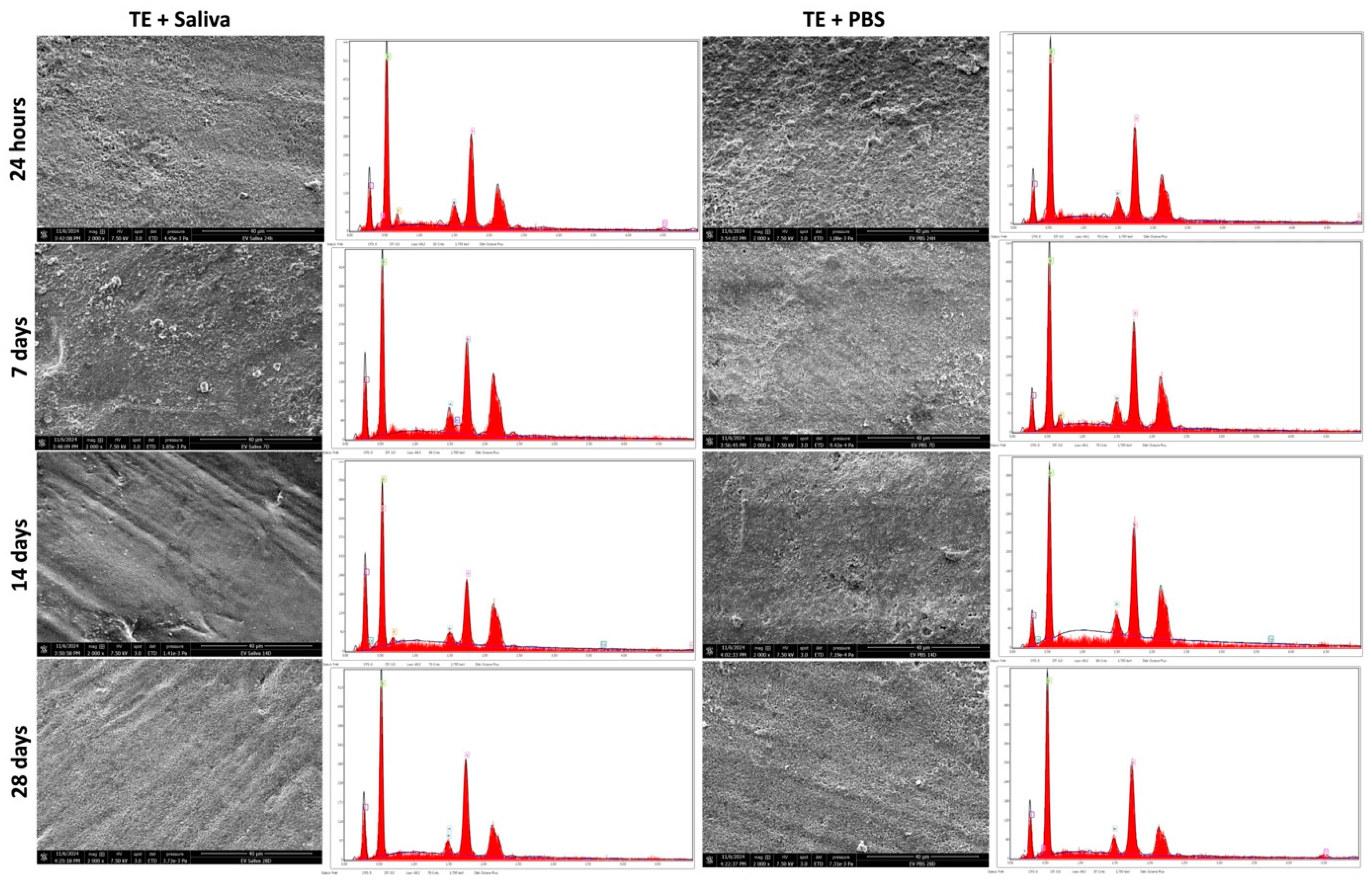 Polymers 17 01272 g006