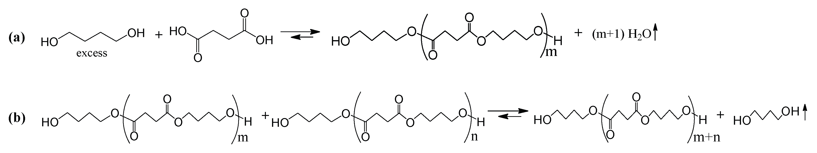 Polymers 17 01276 sch001