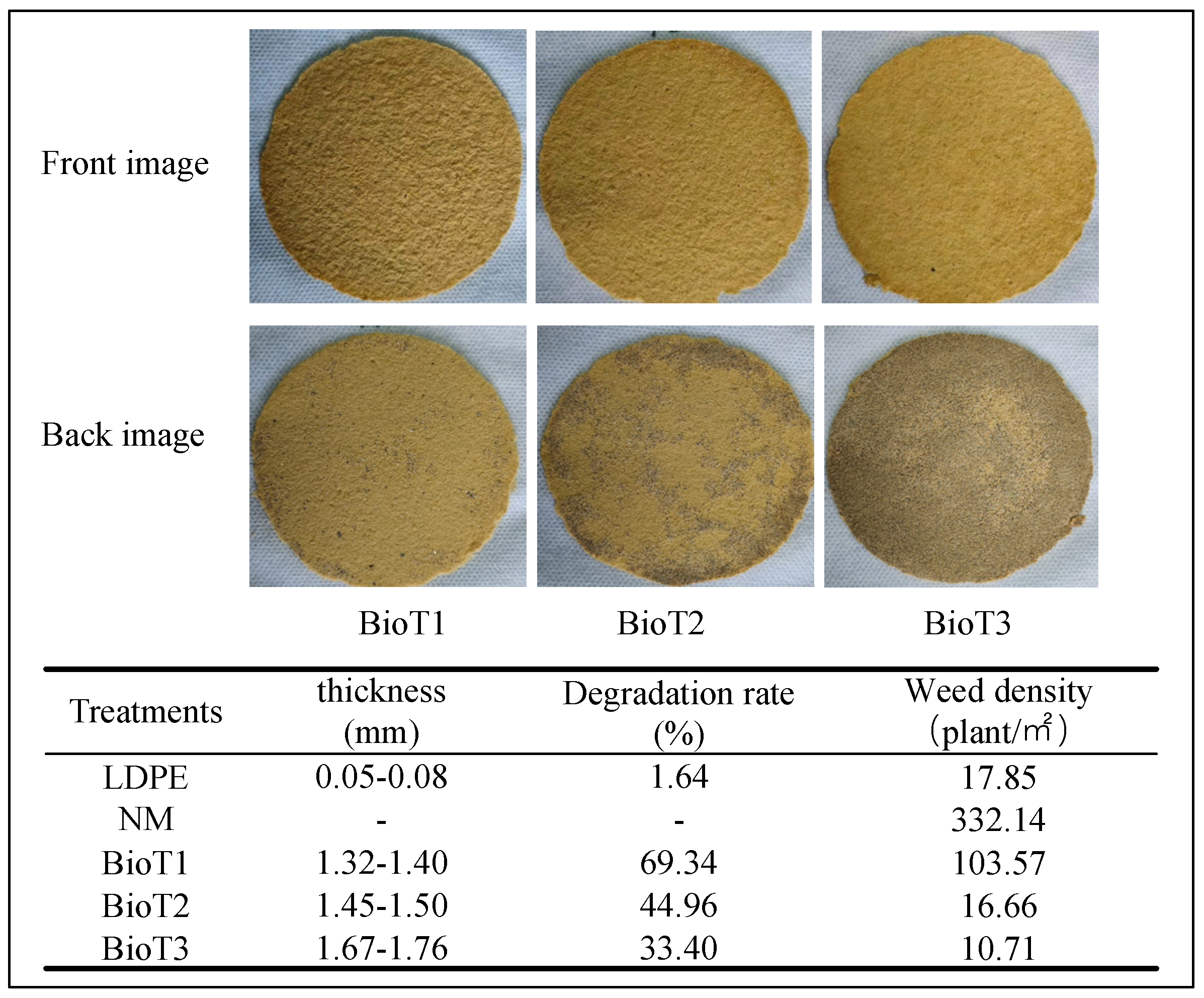 Polymers 17 01277 g005