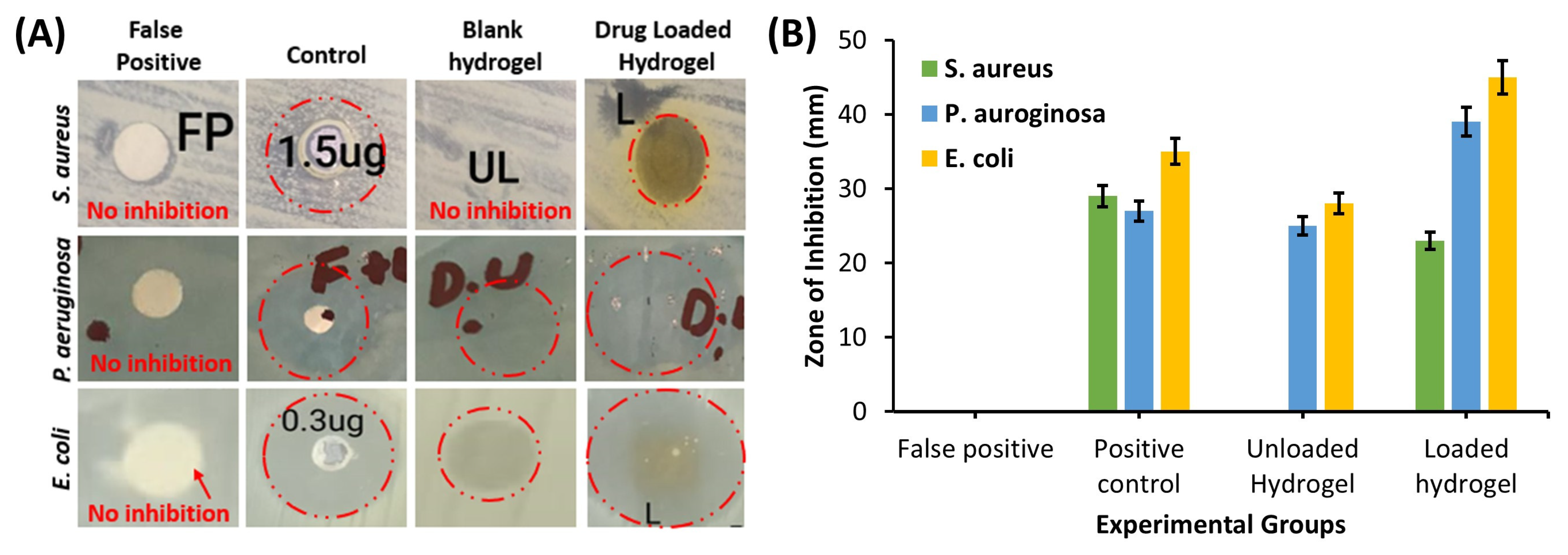 Polymers 17 01278 g005