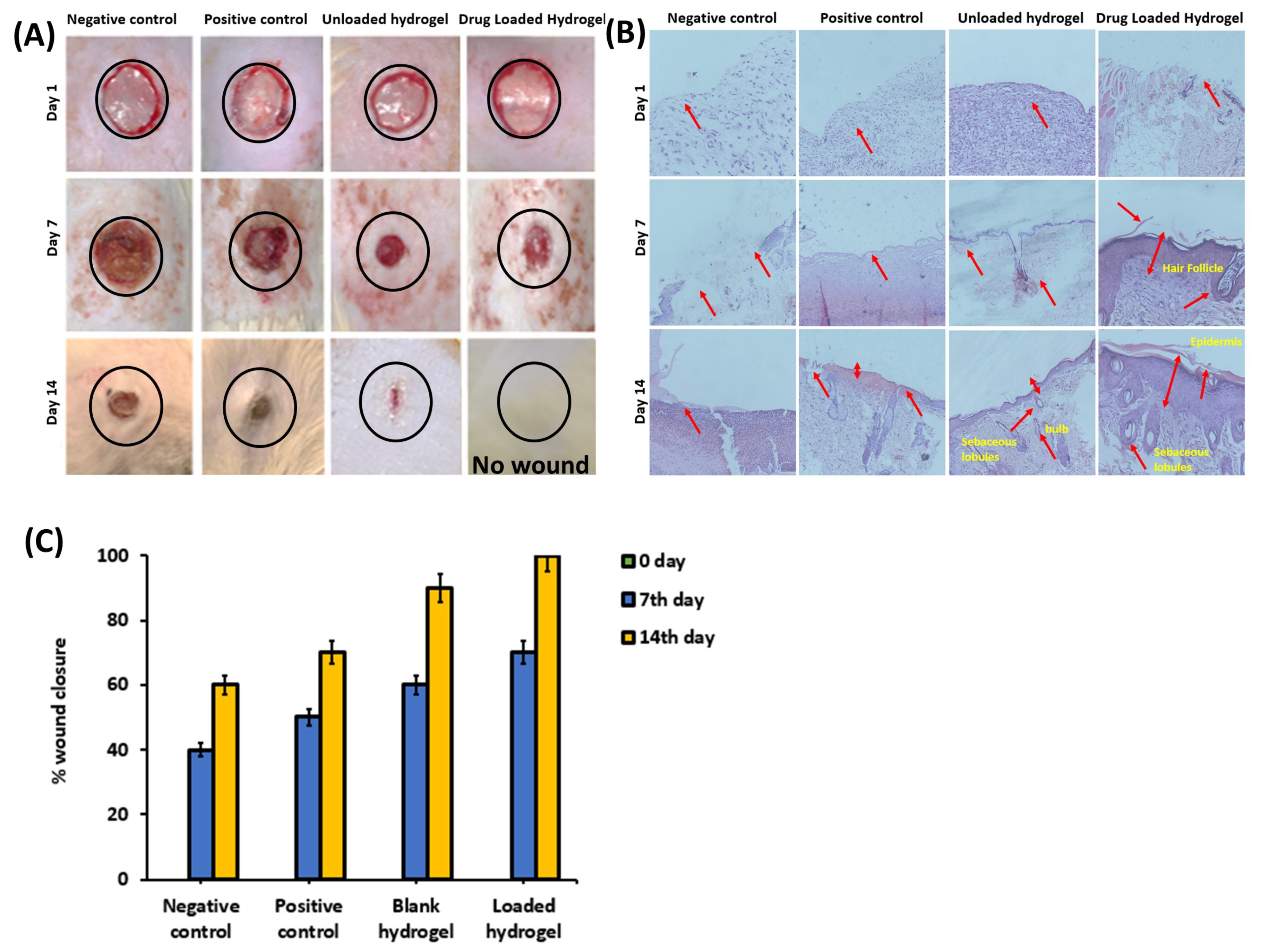 Polymers 17 01278 g006