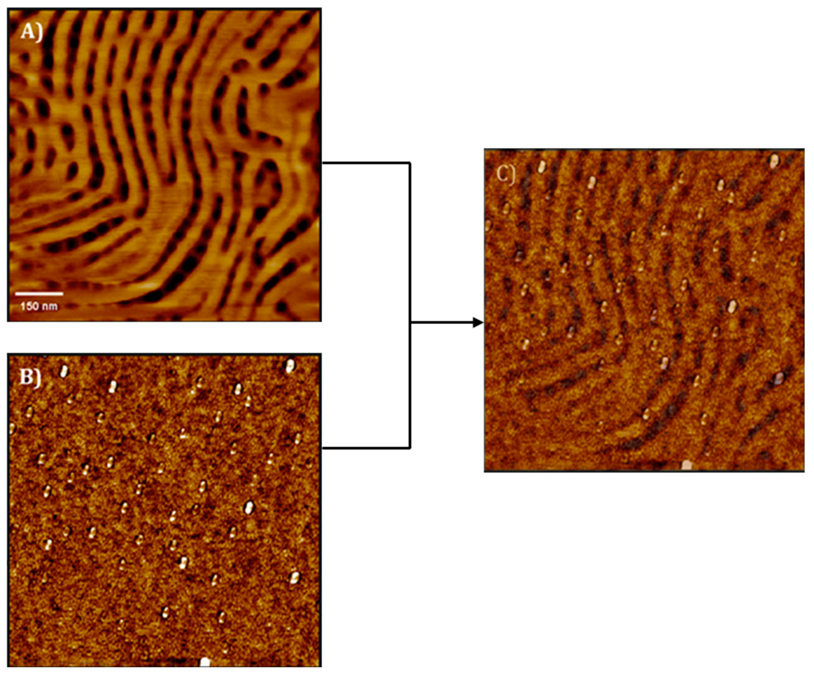 Polymers 17 01292 g004