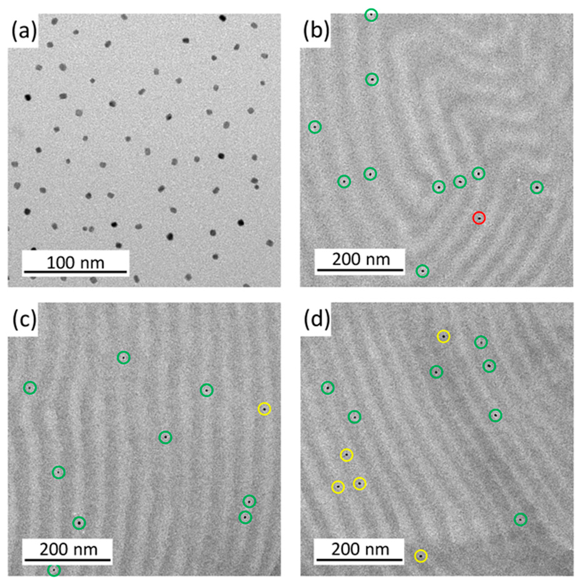 Polymers 17 01292 g005