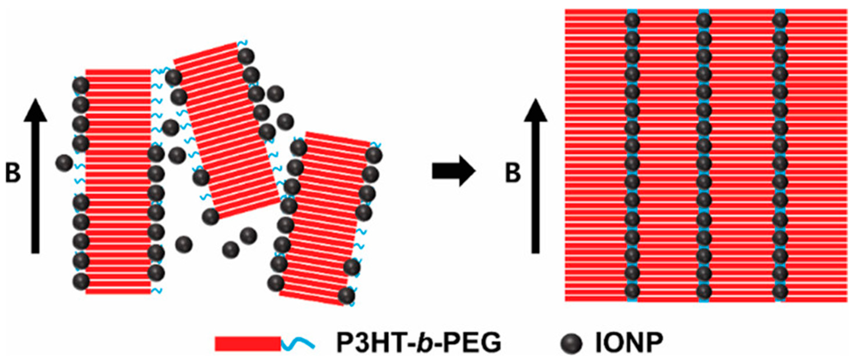Polymers 17 01292 g009