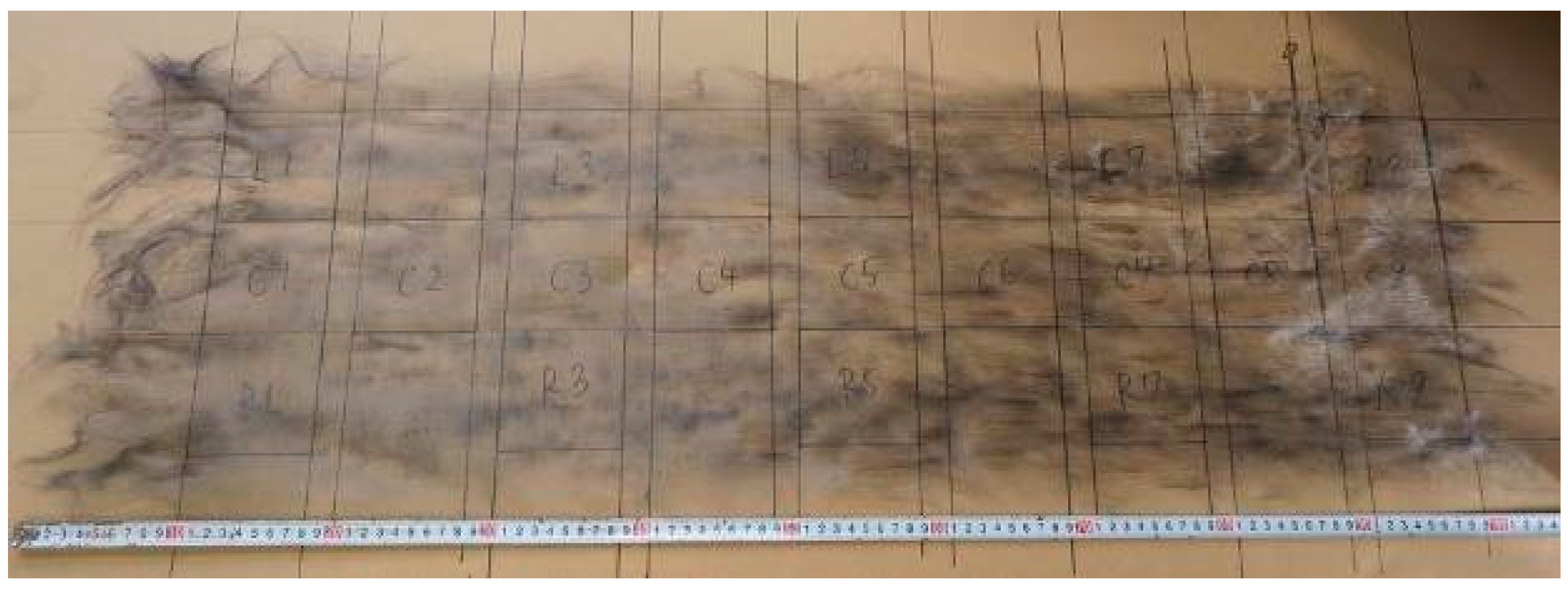 Polymers 17 01293 g002